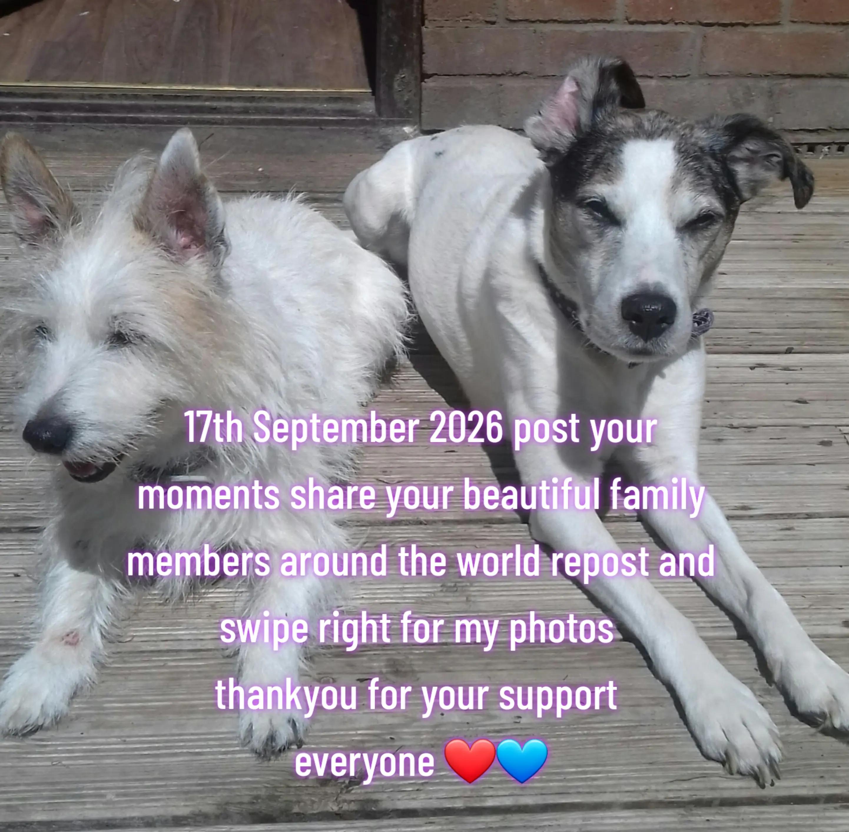 @claire🌈BellaBertErnie💙T&D