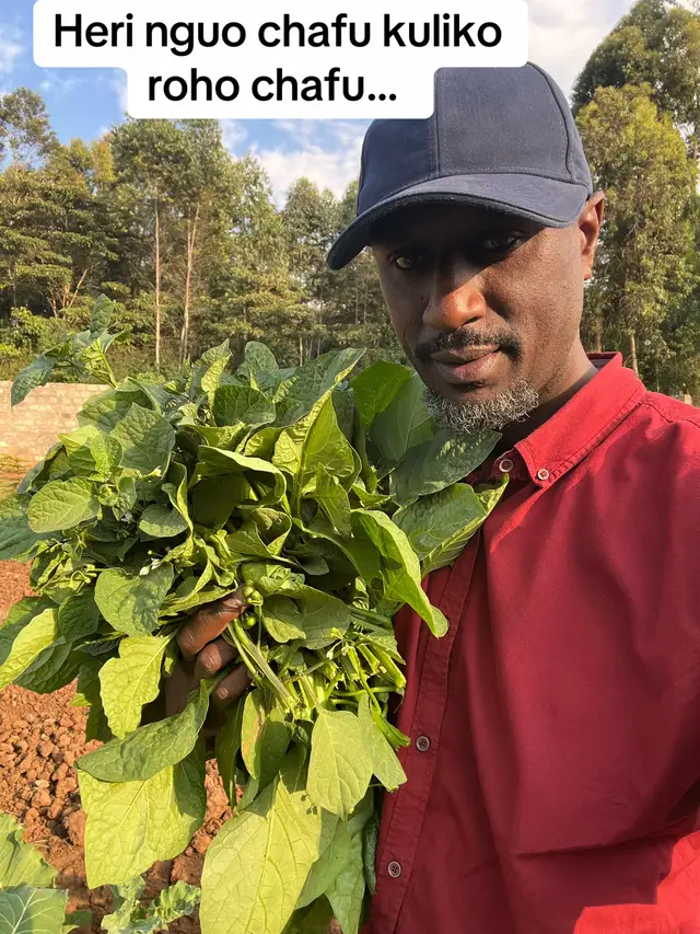 @Caleb Karuga - Farmercist