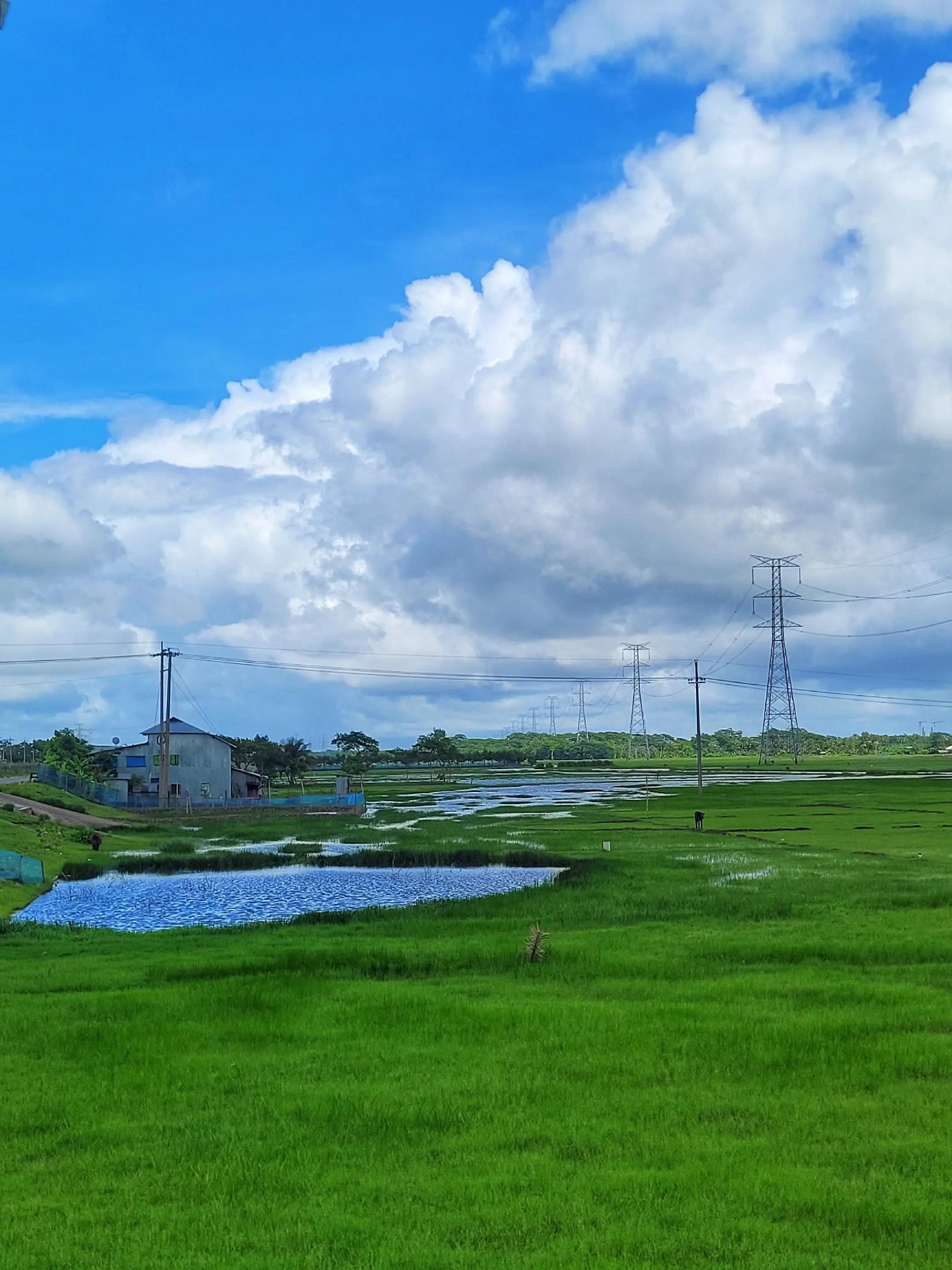 @Close to Nature. đ§đŠ