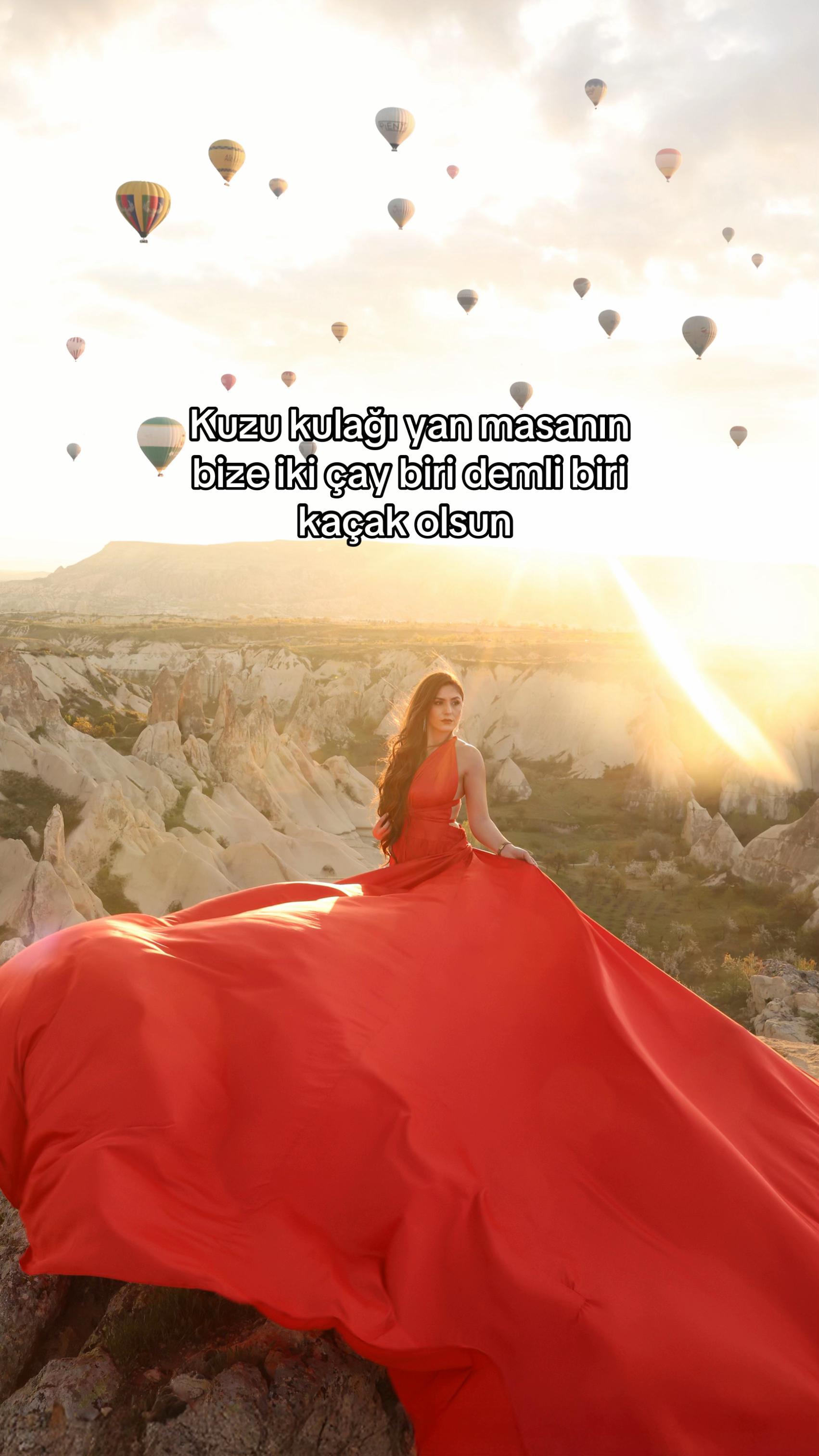 @Sevilay algül