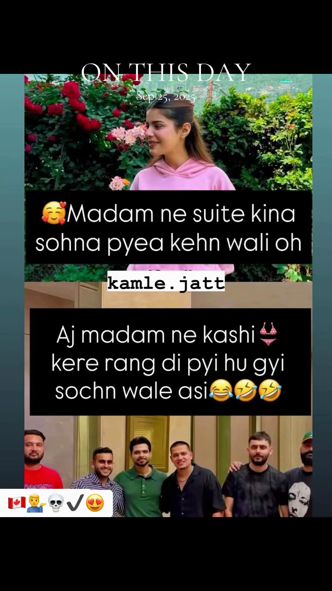 @vehlijanta761
