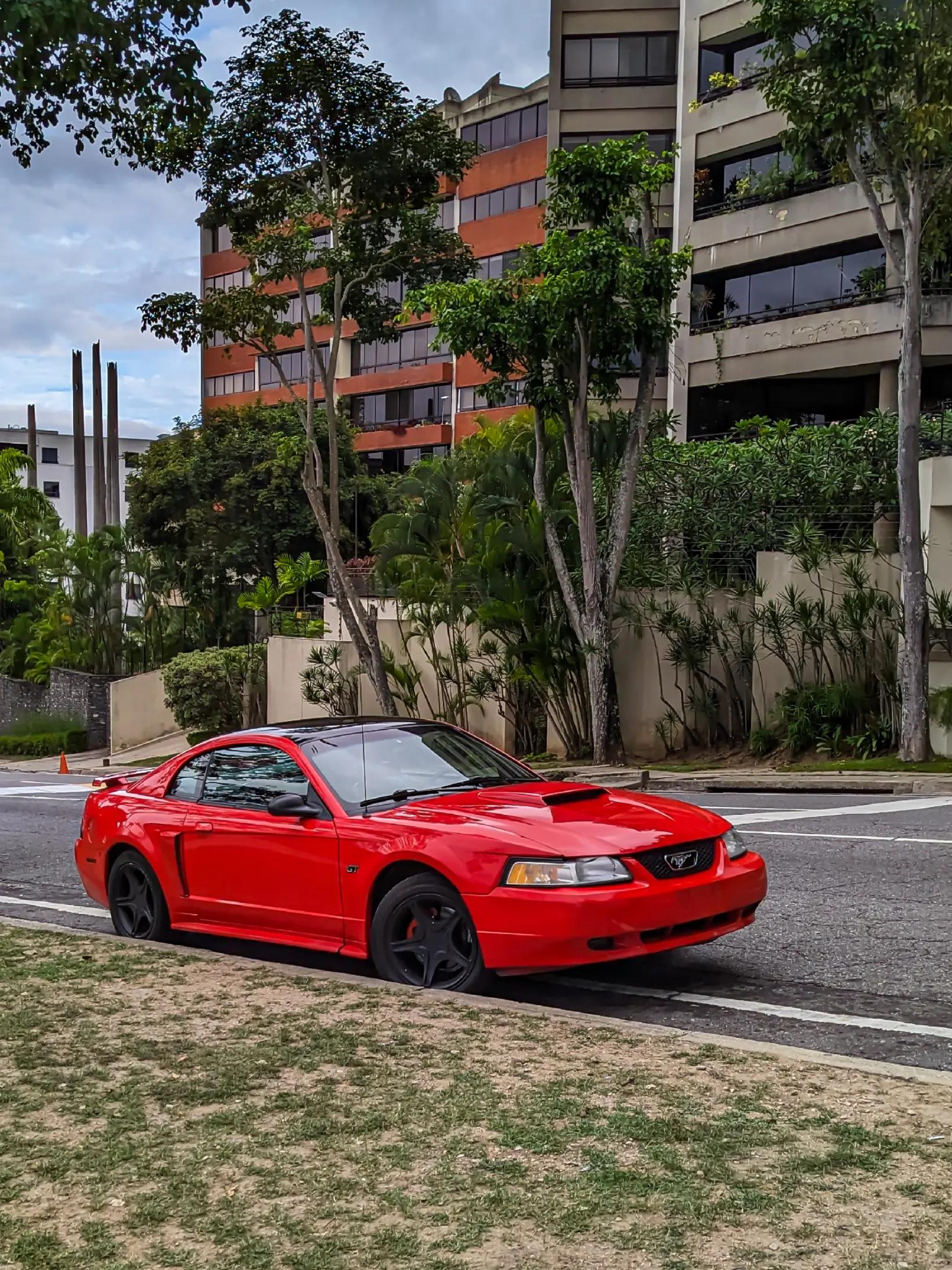 @Paradise Cars