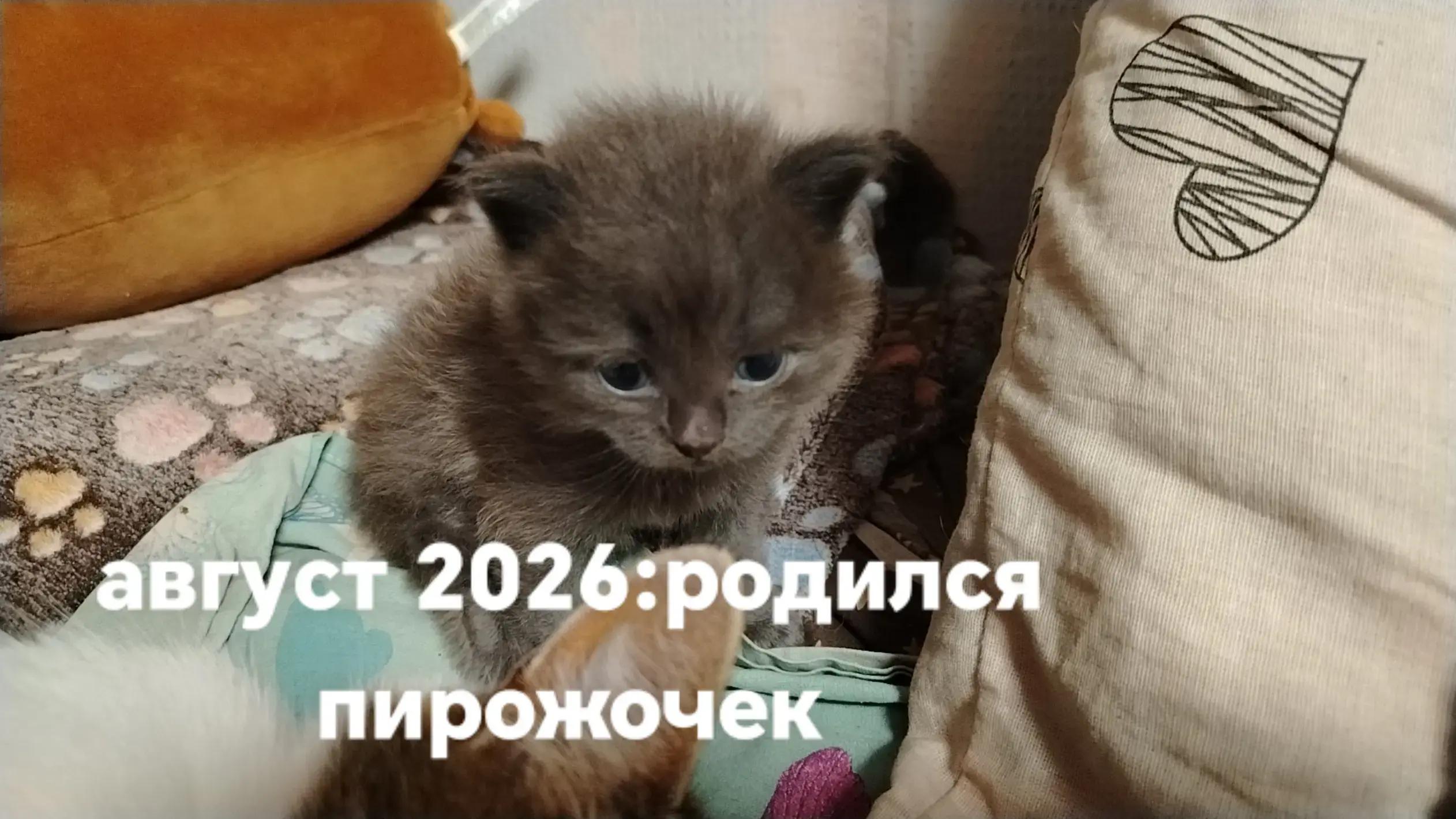 @Анастейша