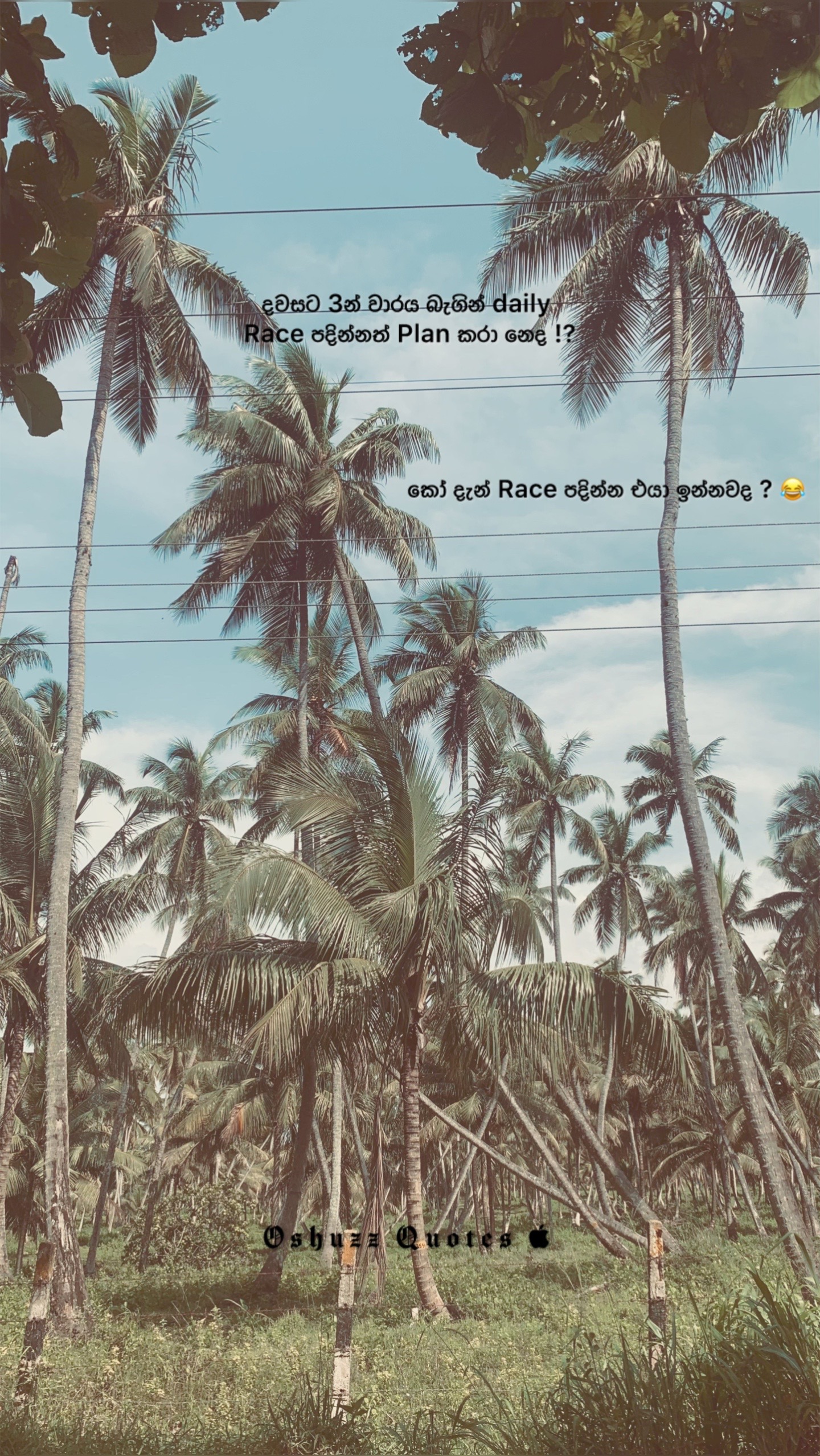 @× 𝐎 𝐒 𝐇 𝐔 𝐙 𝐙 🥷