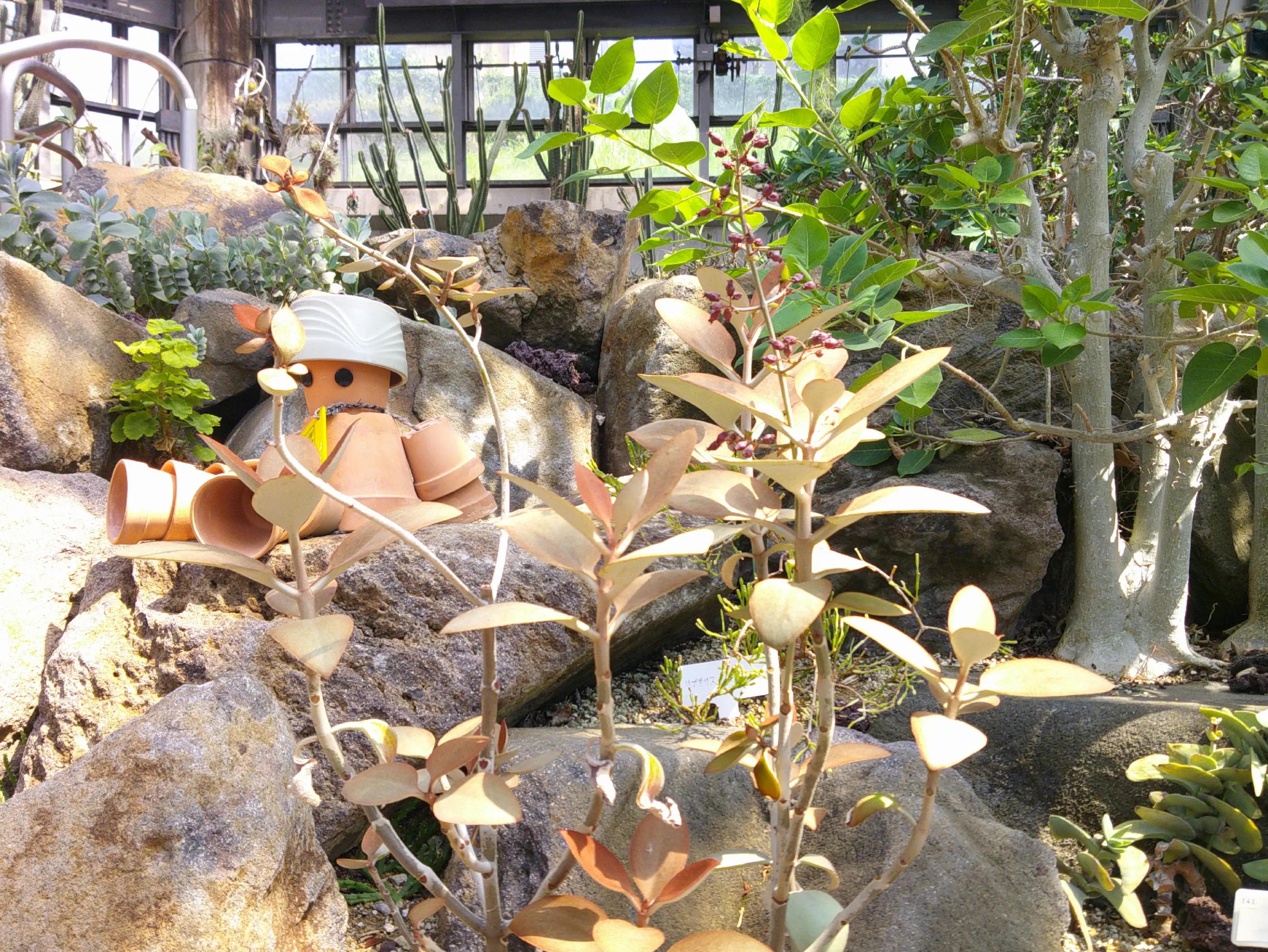 @Ichikawa City Zoo