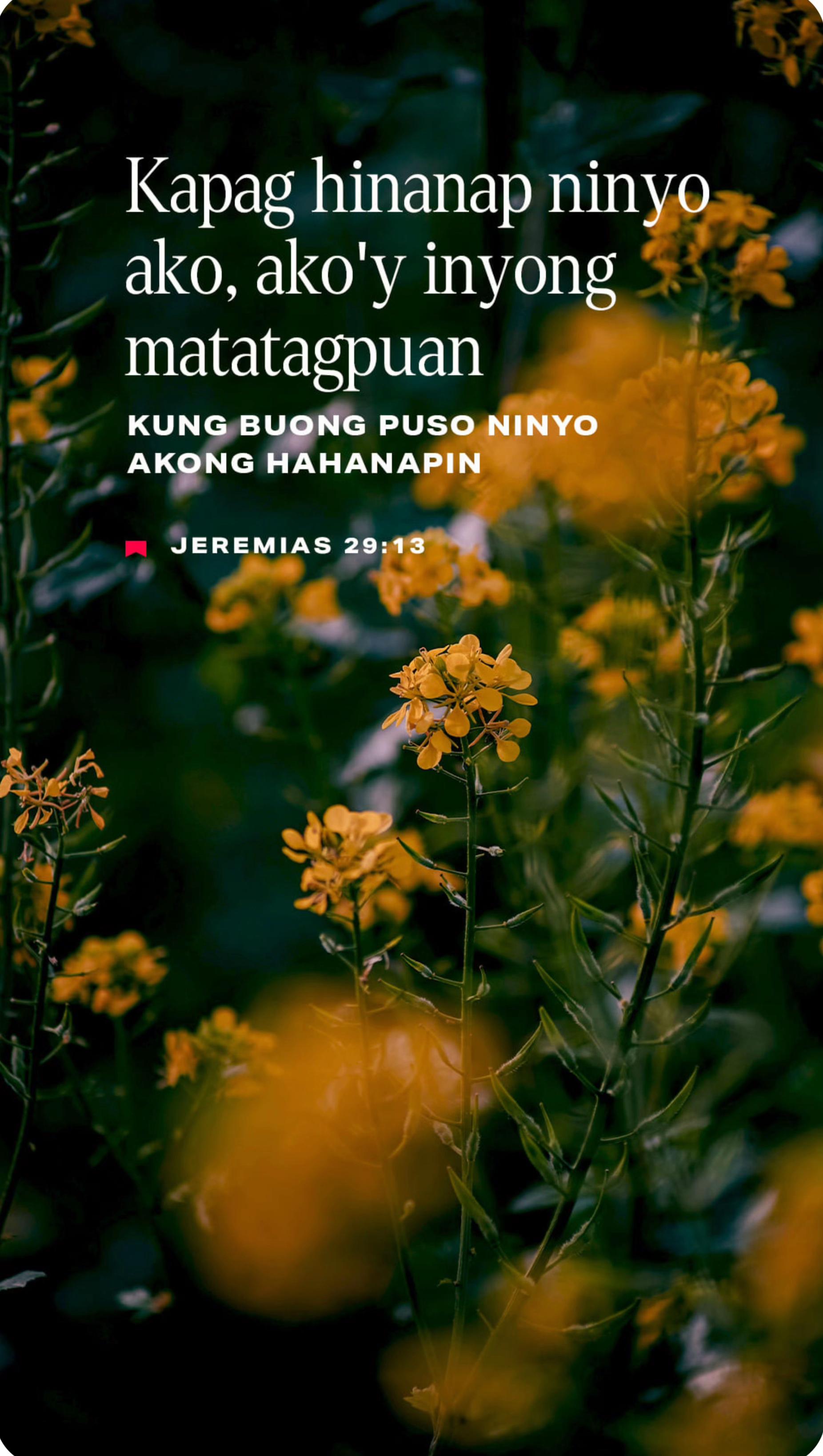 @Ate Nels
