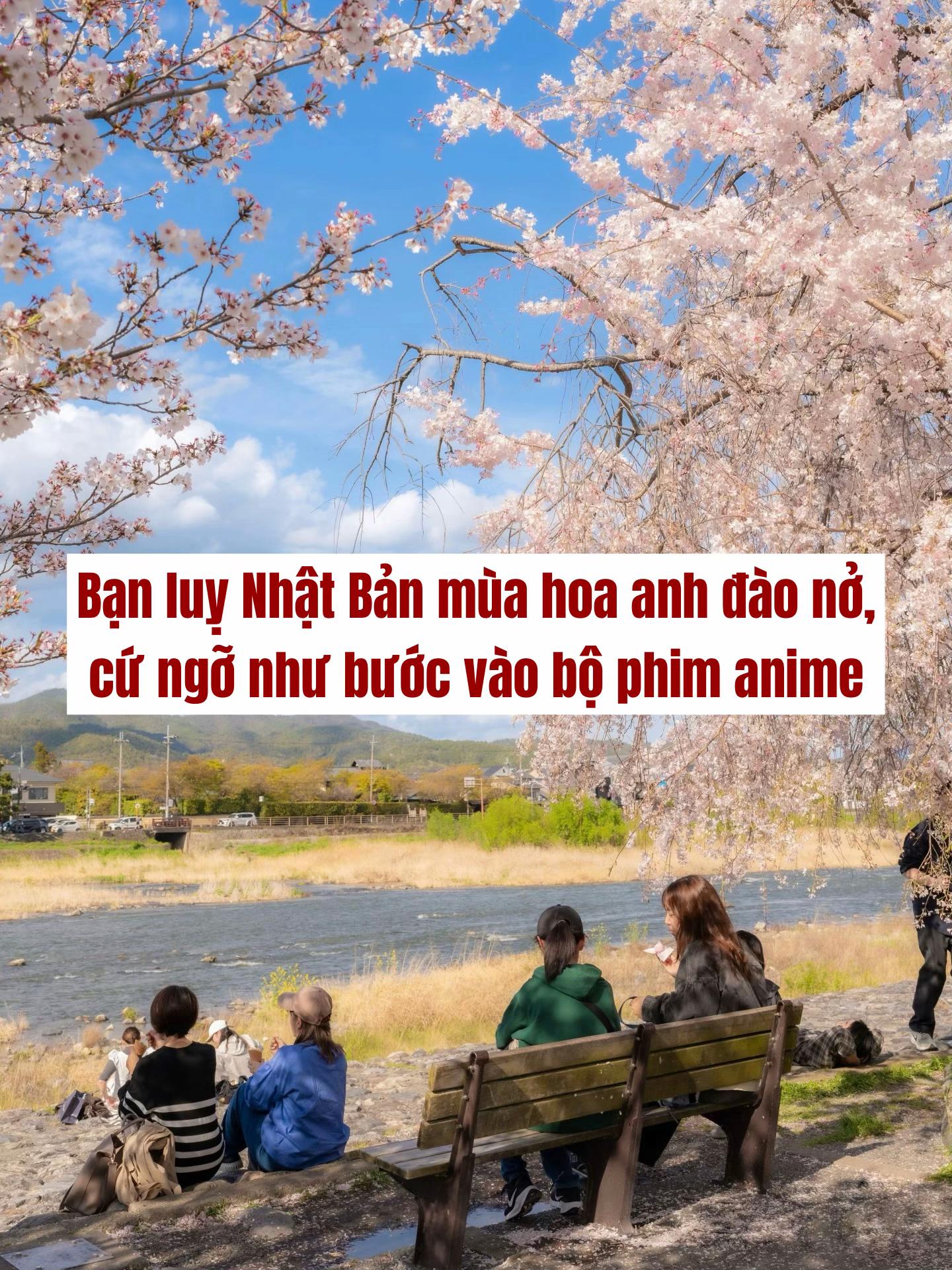 @hạ buông