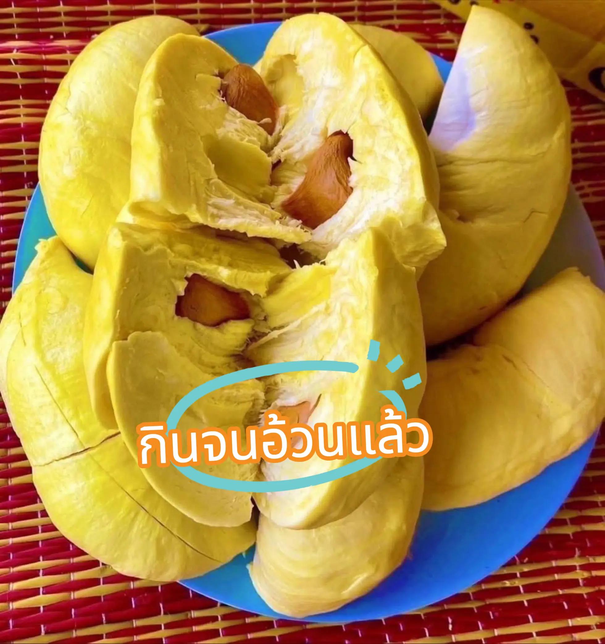 @🖤รักที่ฉันเป็นฉัน🍄🍓#กระแต😘
