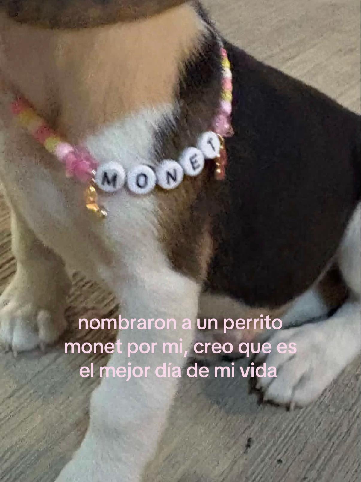 @Monet