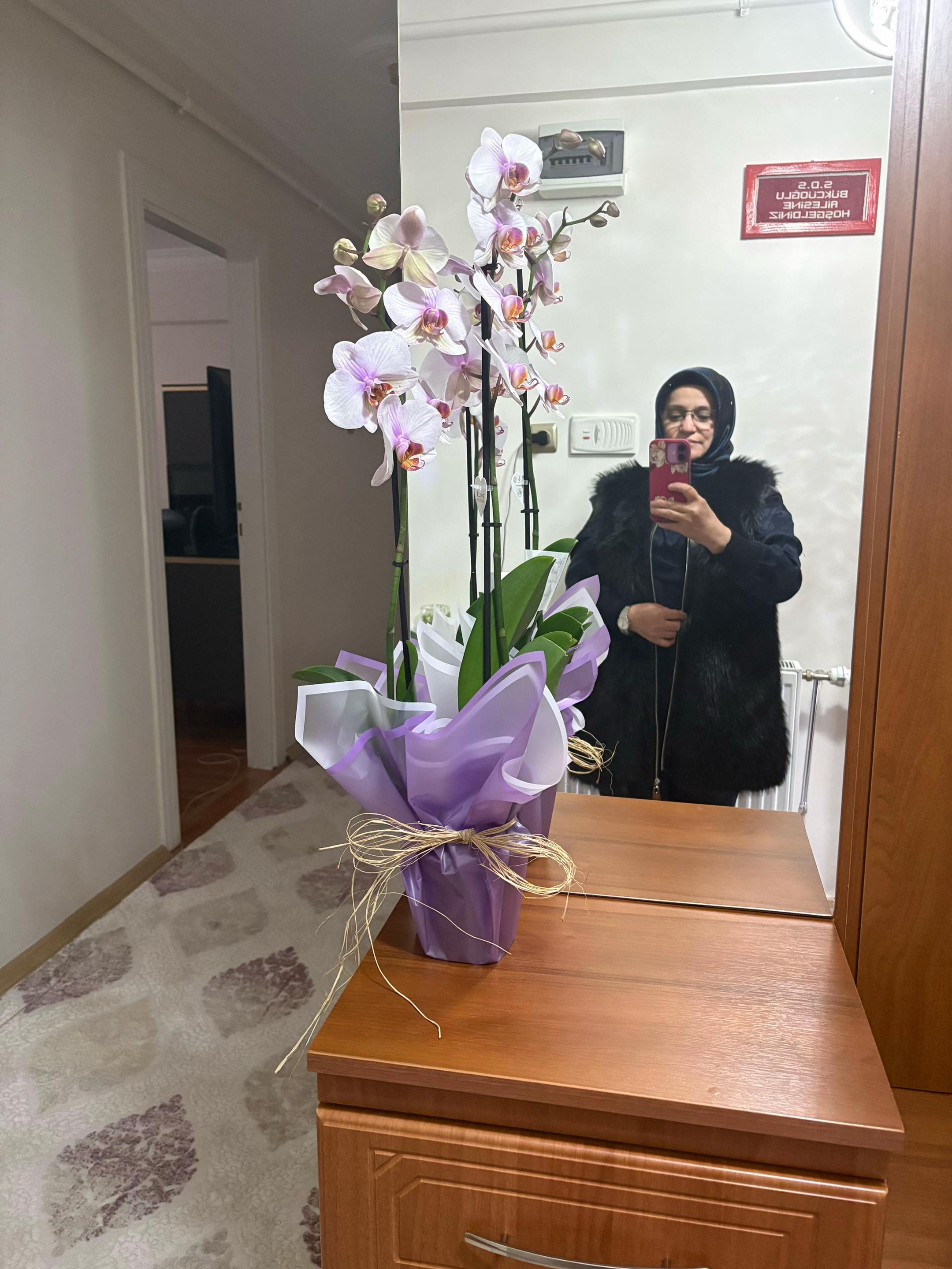 @sevgi