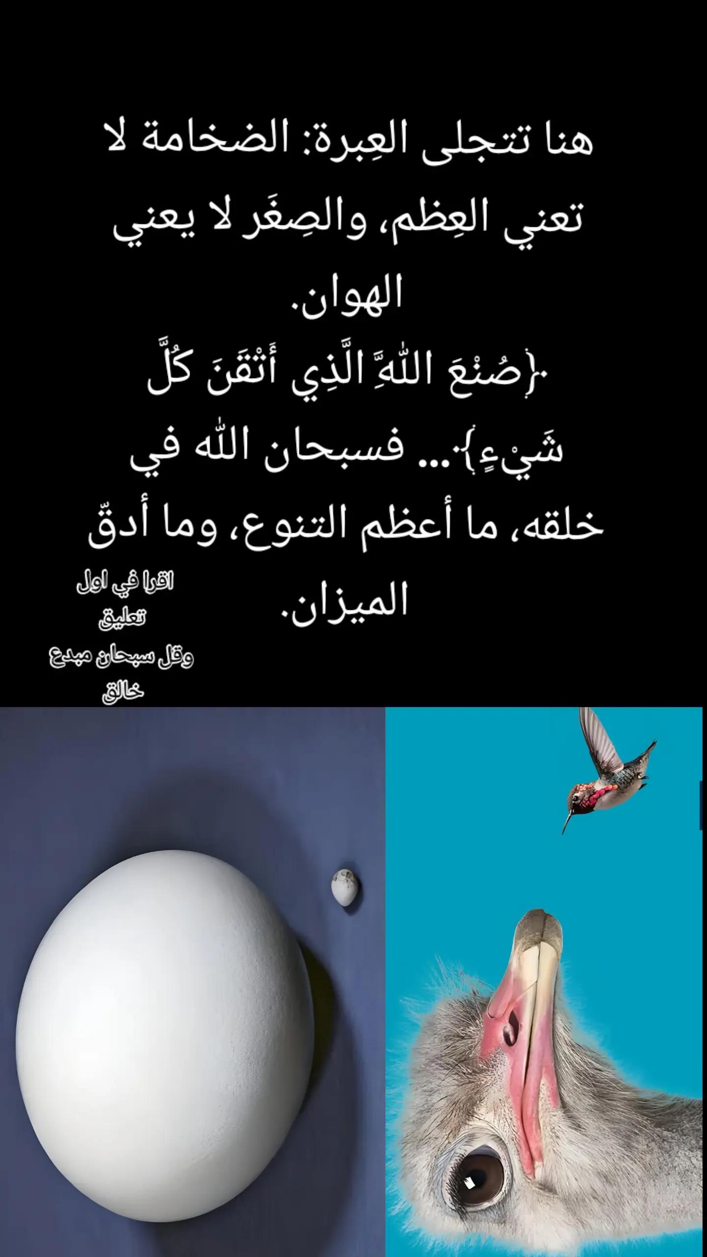 @سليم محتوى خاص بي قصص جميلة