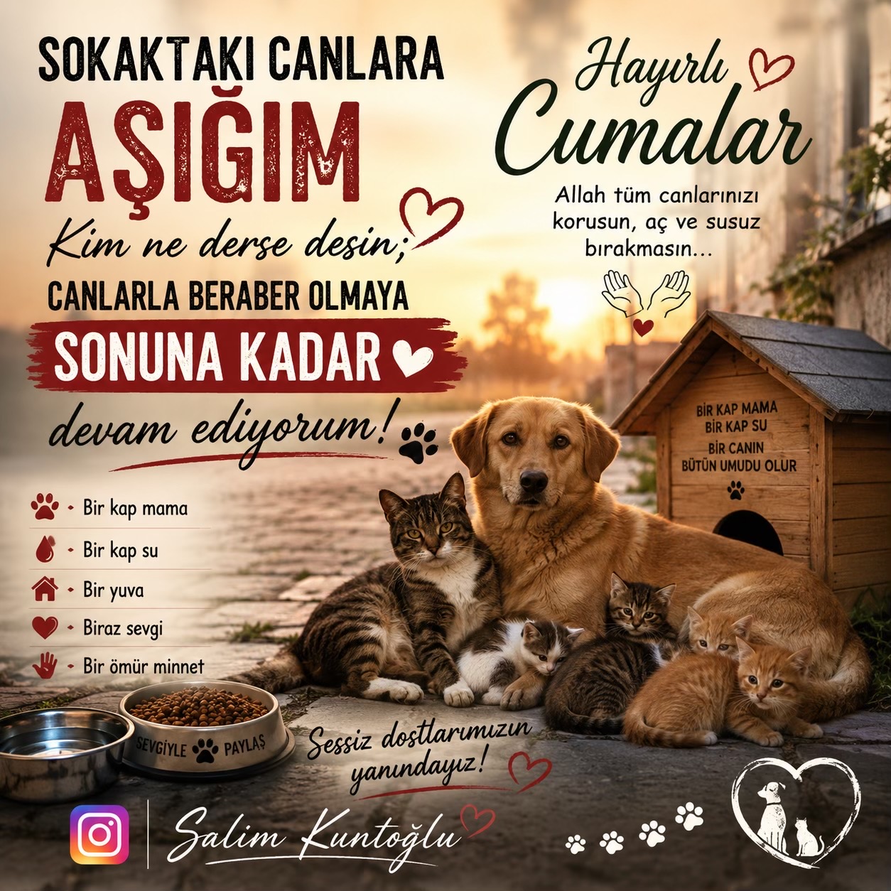 @Salim Kuntoğlu