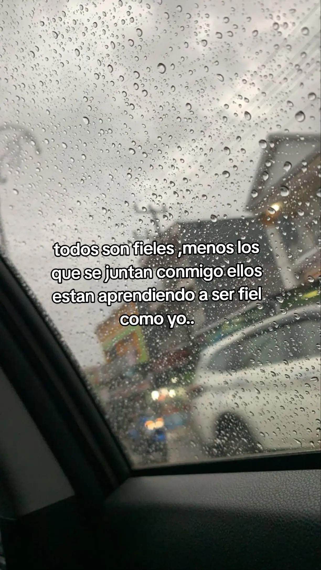 @🪐 세바스티앙 🪐
