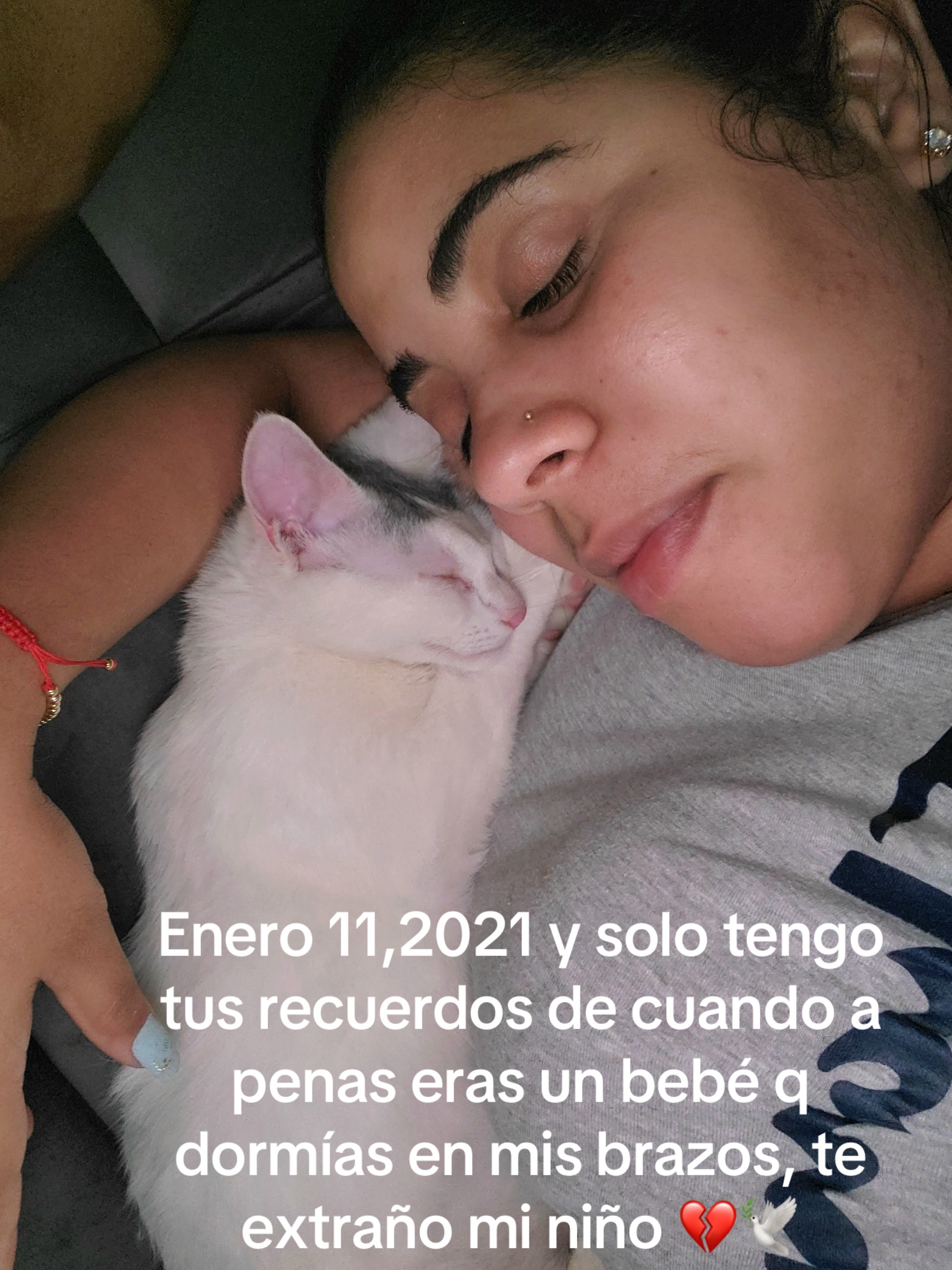 @💜🌸Madeir🌸💜
