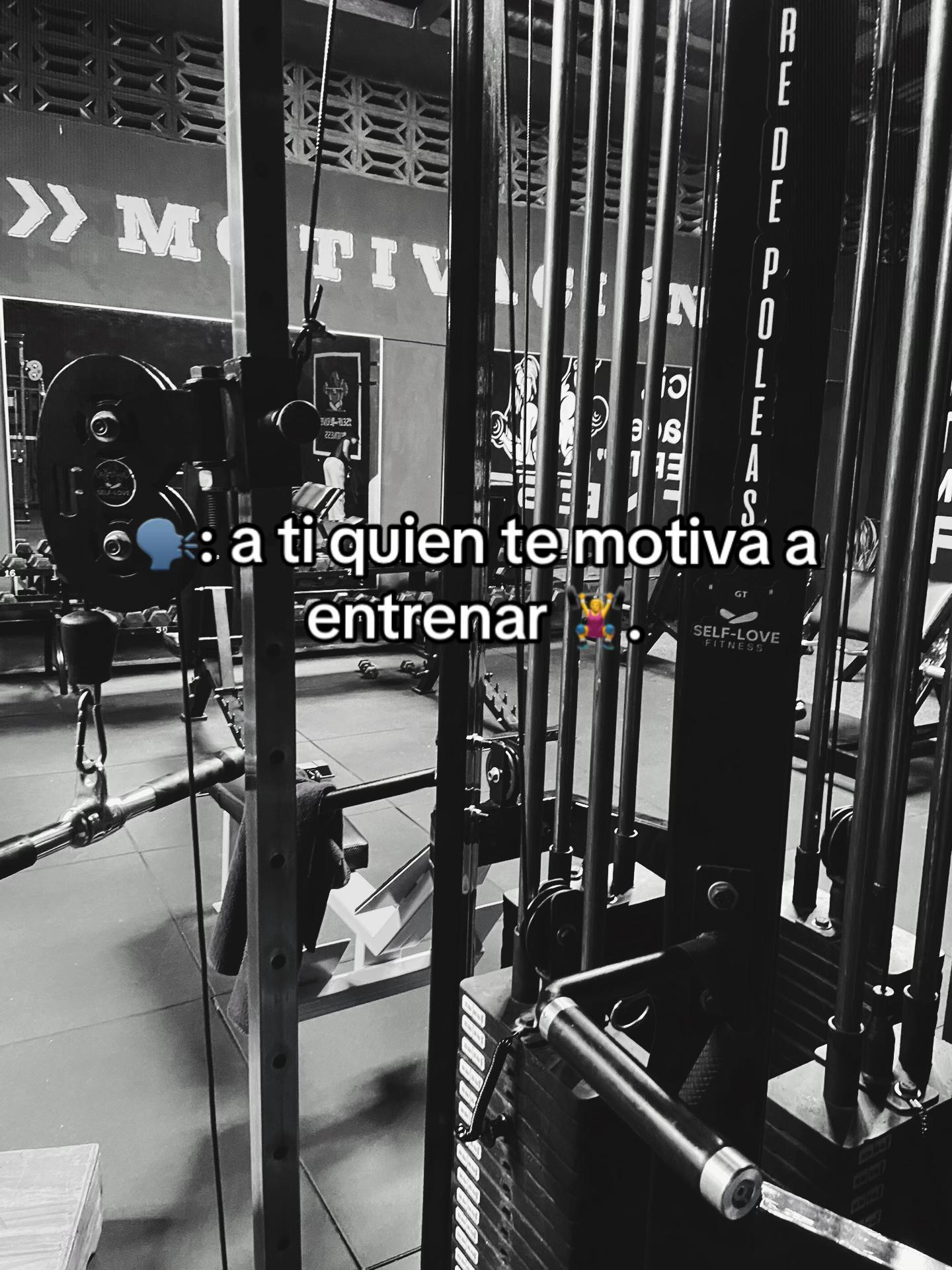 @D'avid_alx🪽