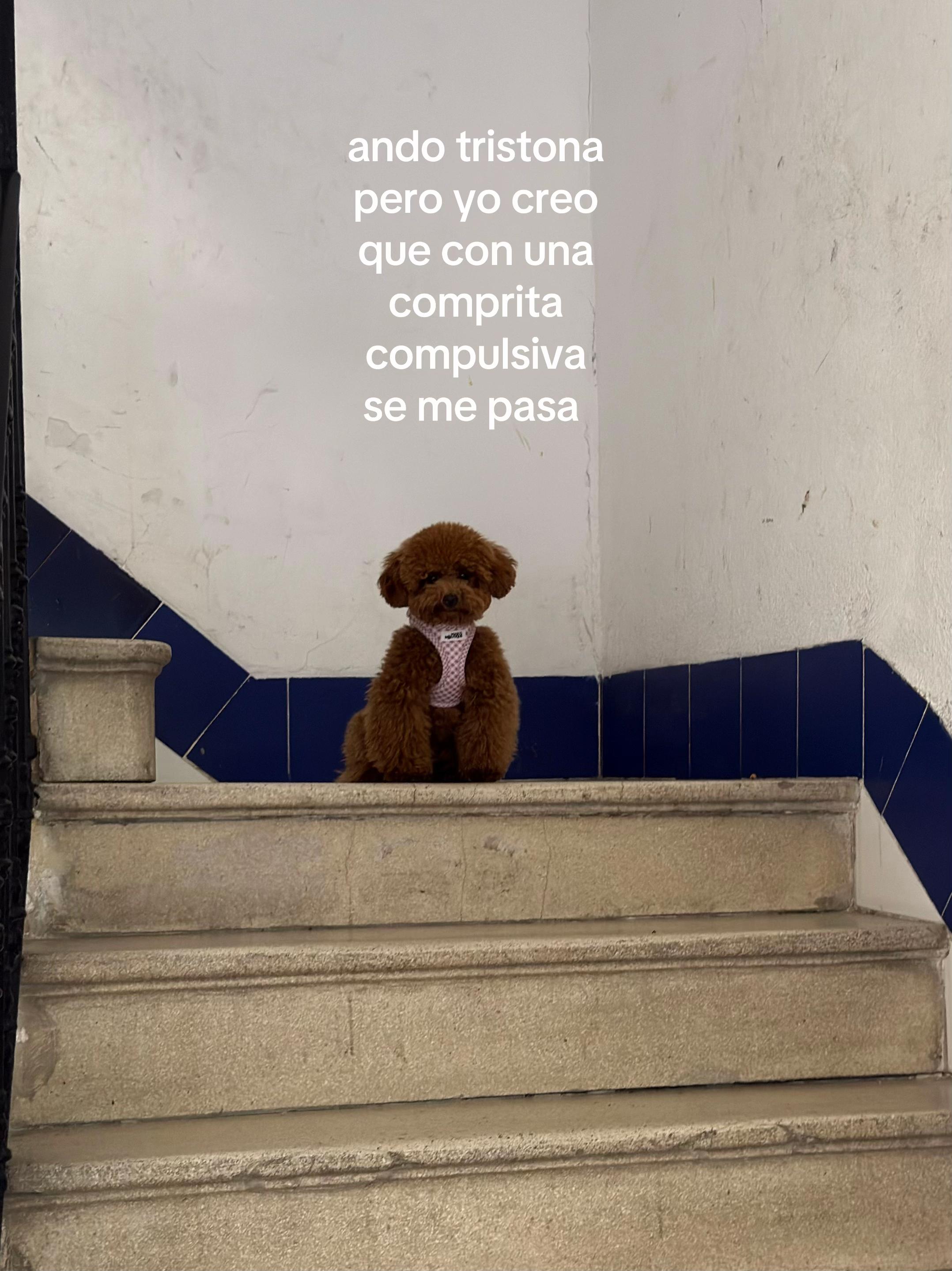 @María Rodrigo