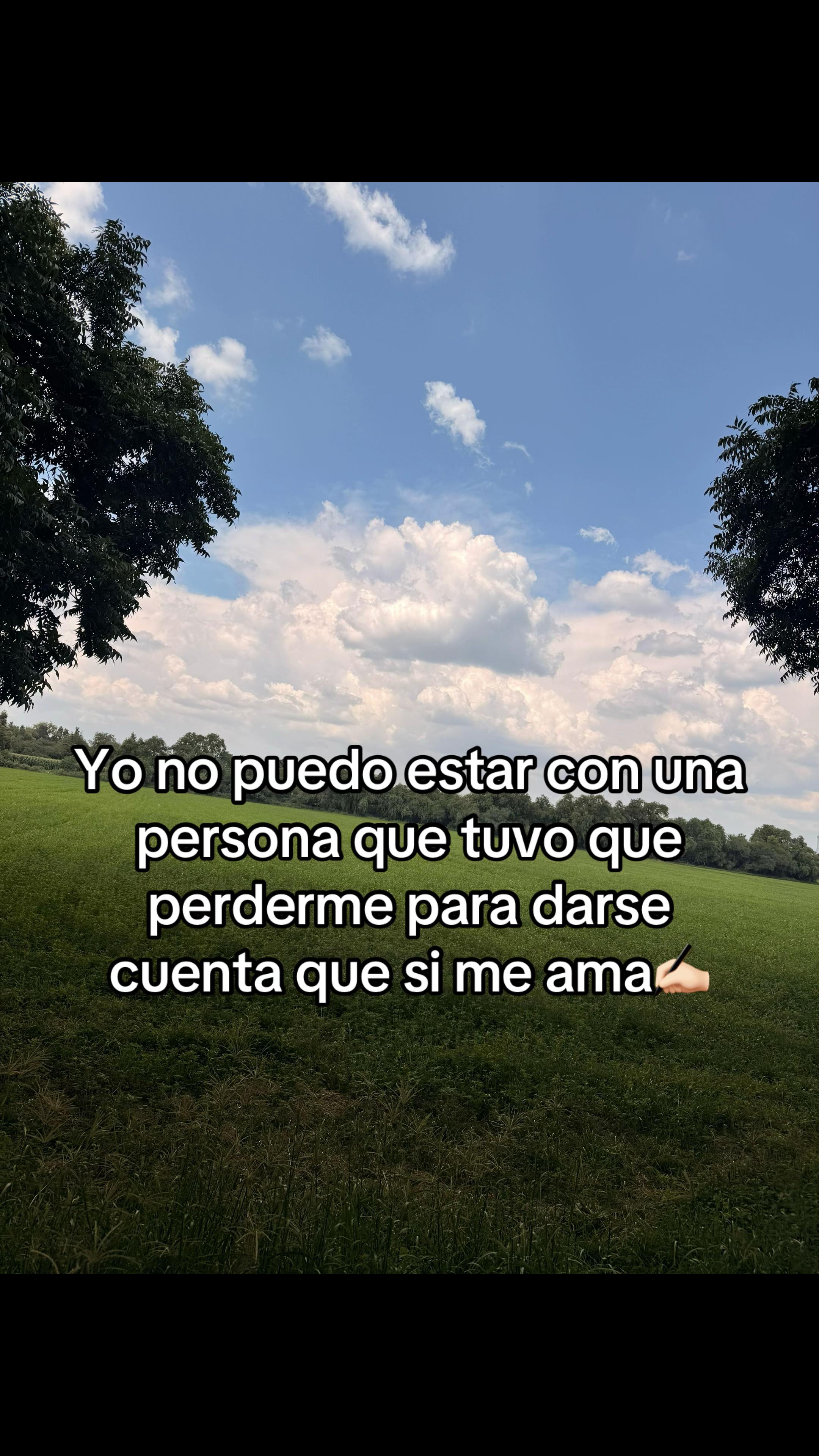@MVSP🦋