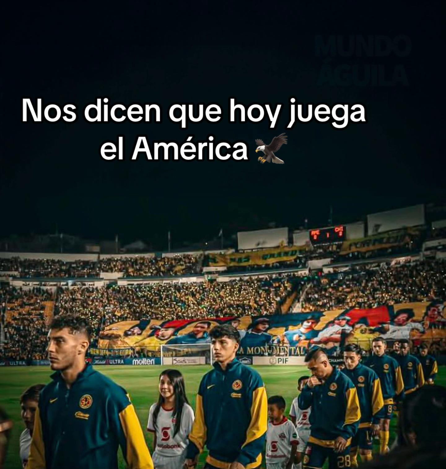 @Yocc✨🦅