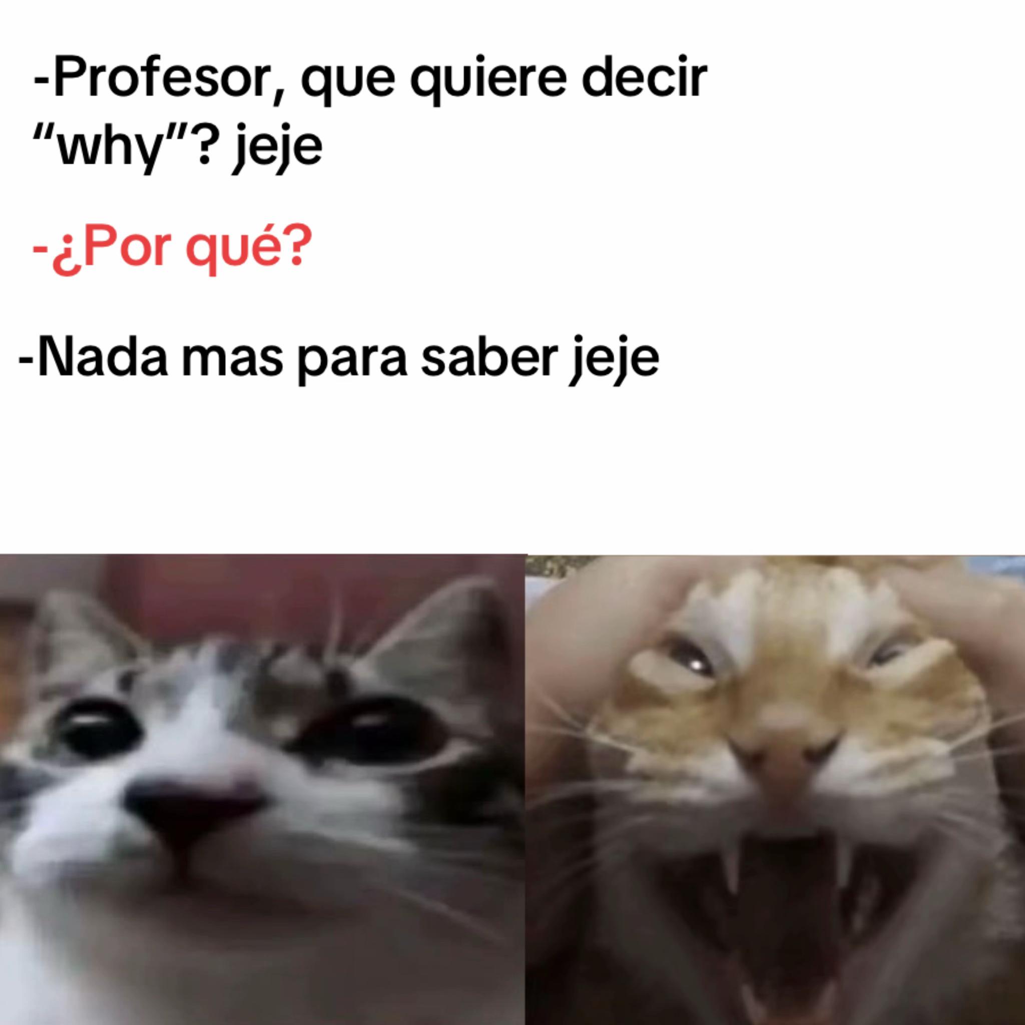 @momazosnegromarronjeje