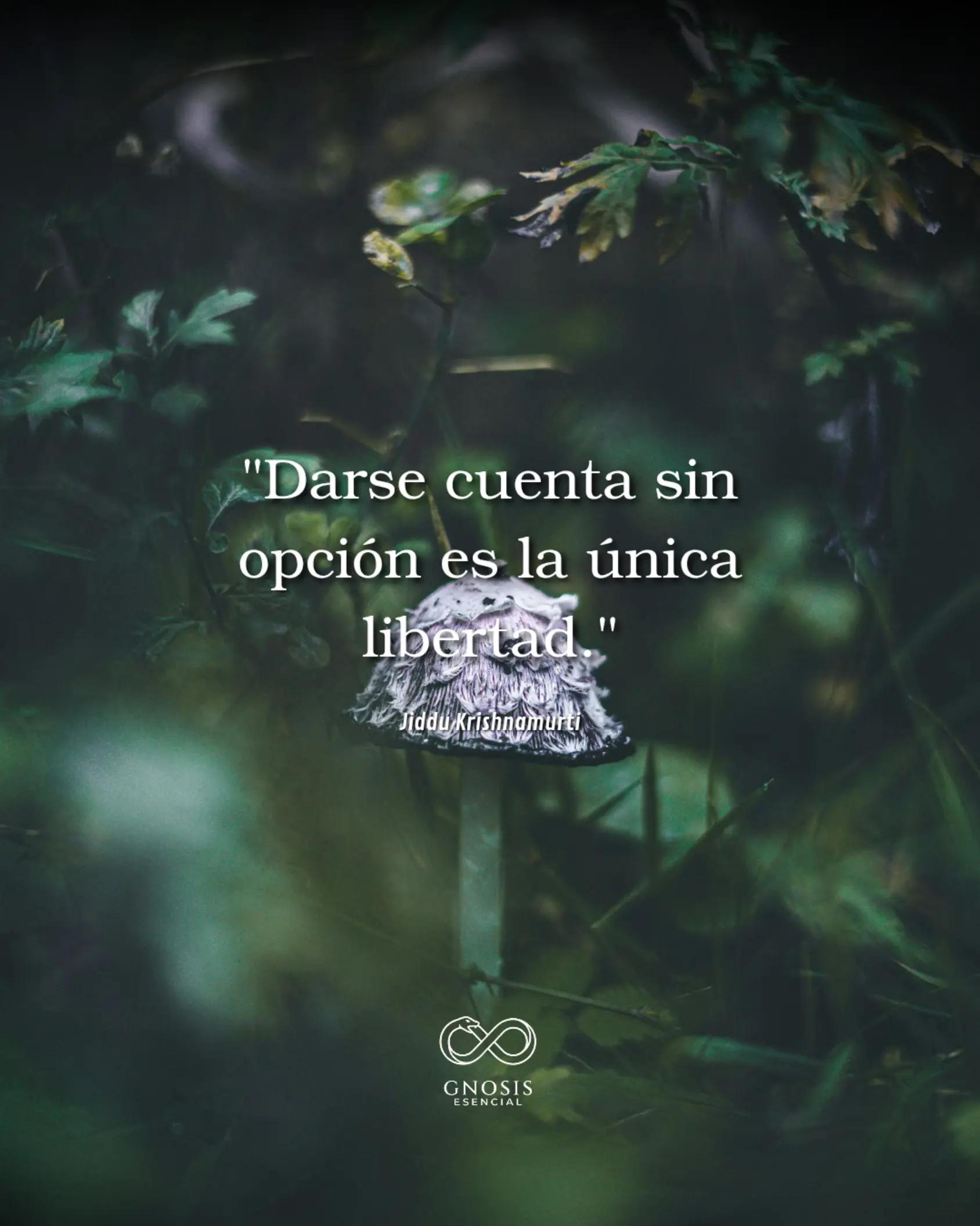 @Conocimiento Escencial