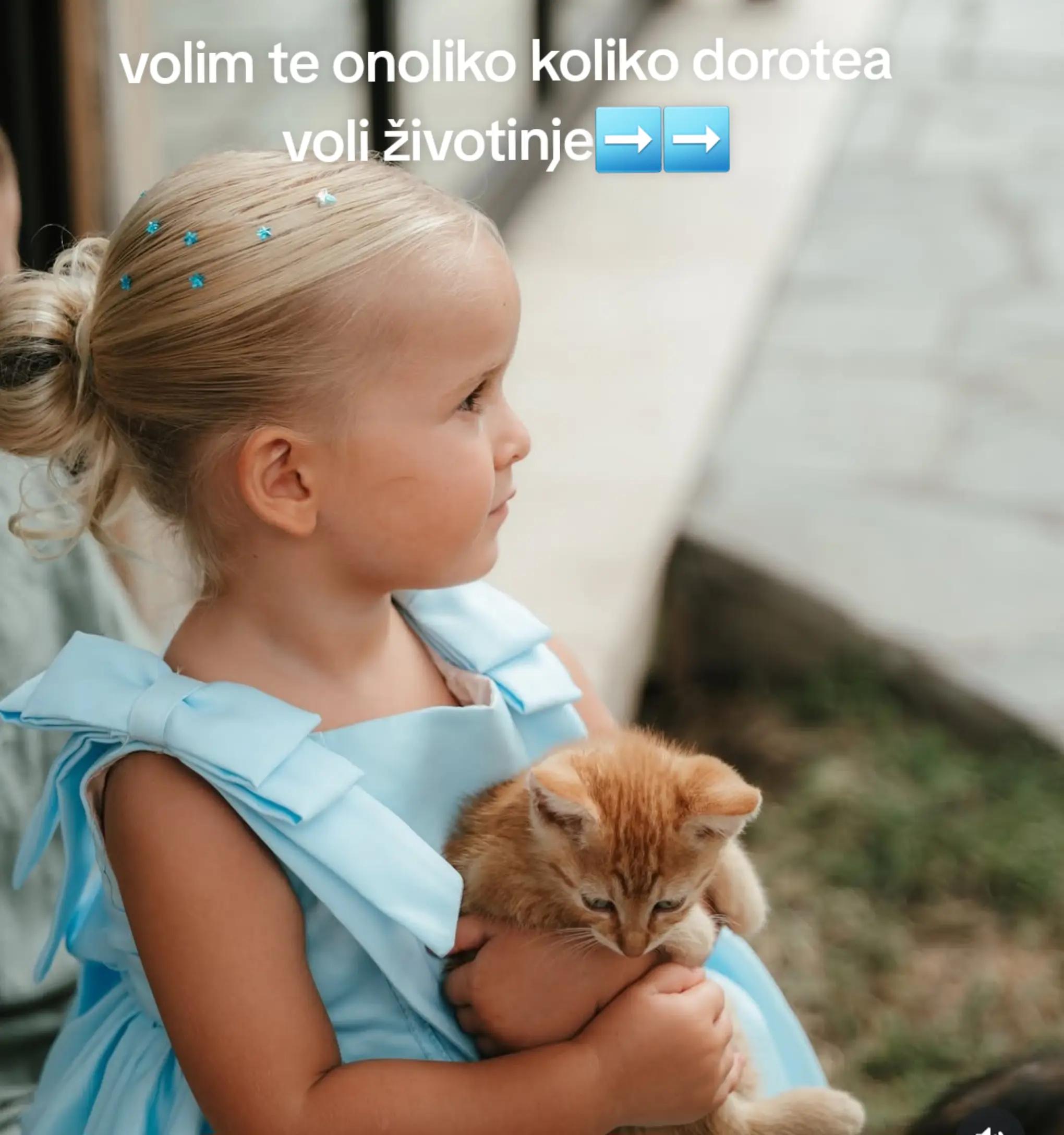 @dzehvy