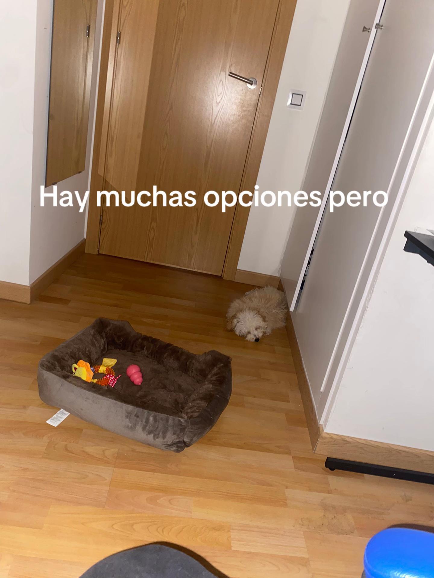 @sserrgiio._