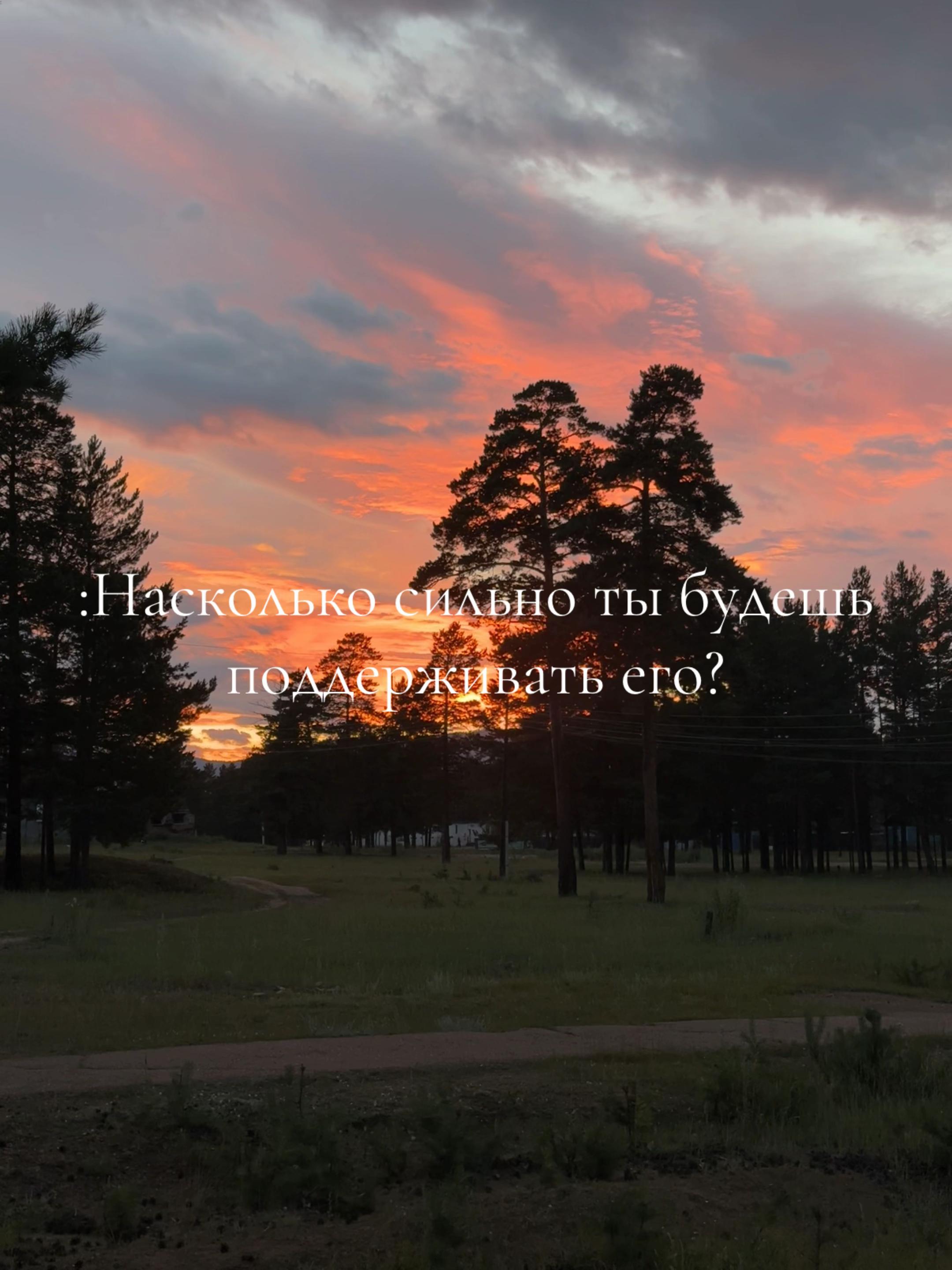@ArefievaKris🤍✨