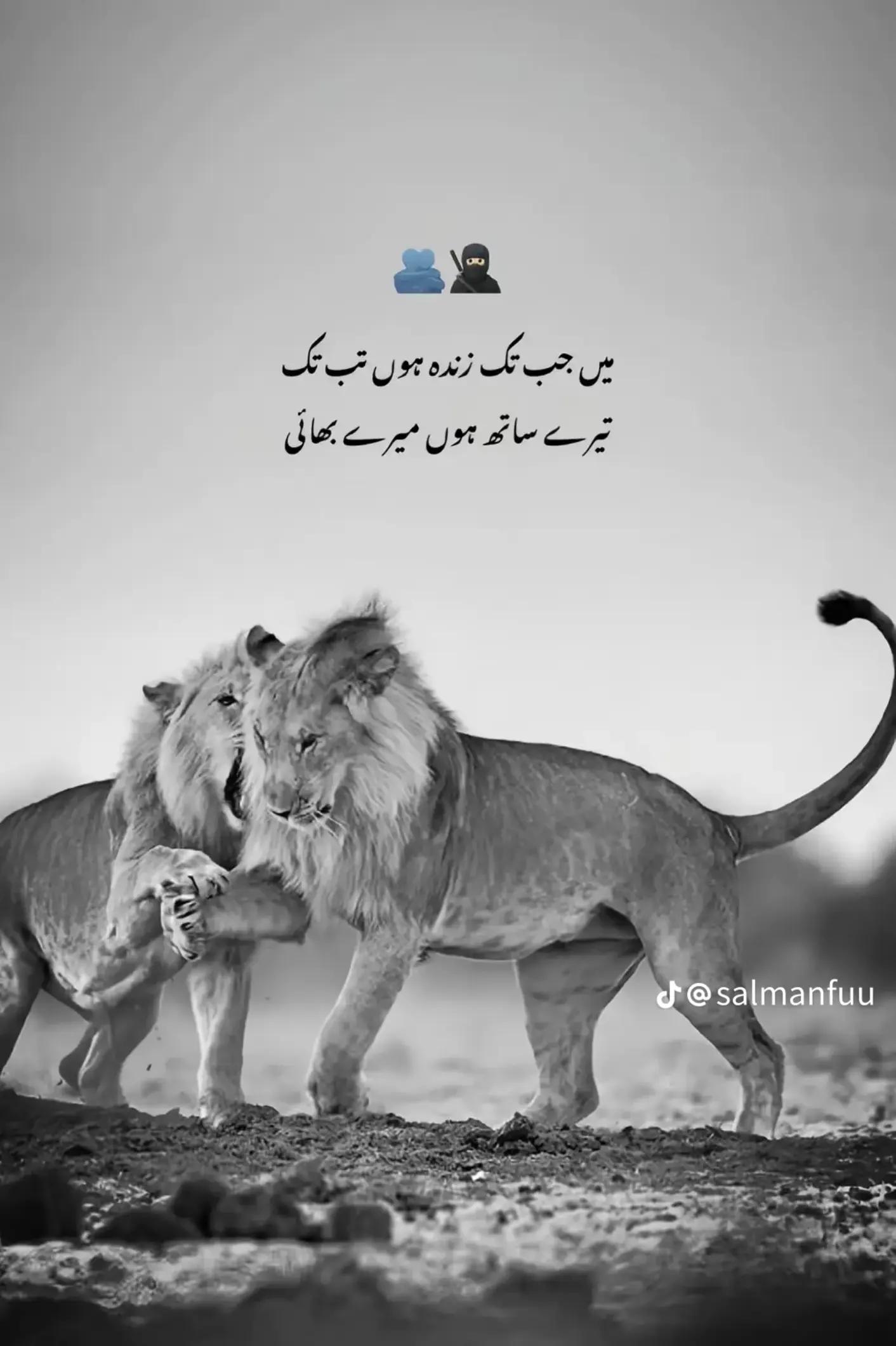 @🔱آفتاب چوہان302⚜️🚩