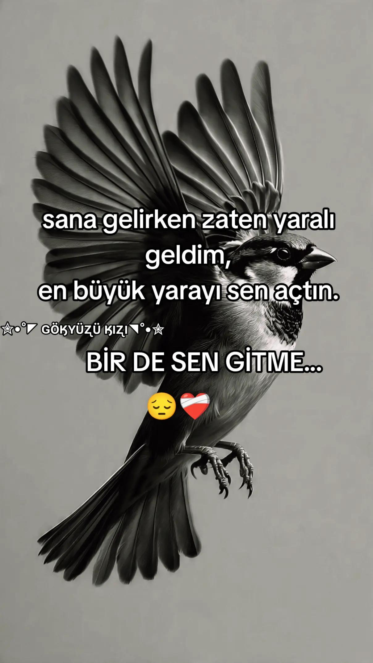 @༺✮•°◤ɢöӄʏüʐü ӄıʐı ◥°•✮༻