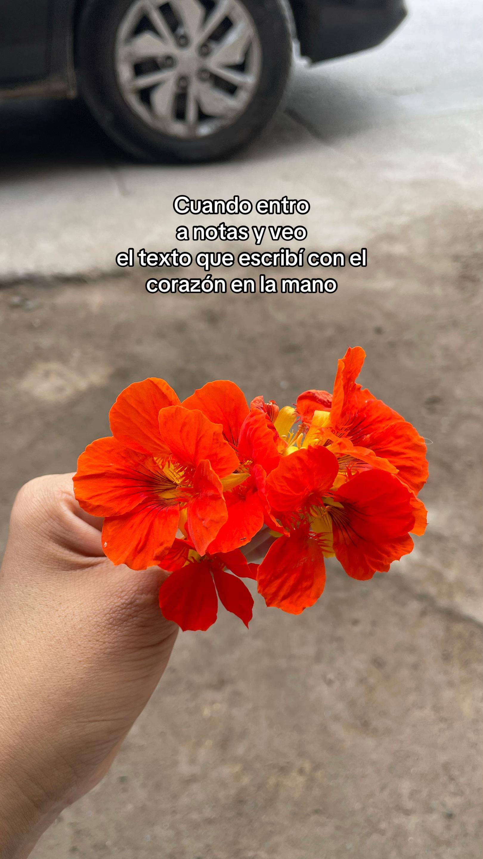 @Febrero Azul 💙