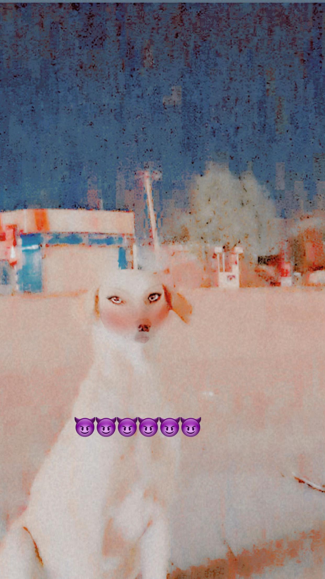 @๐ููุงุจ ุงูุดูุงุฑุน๐