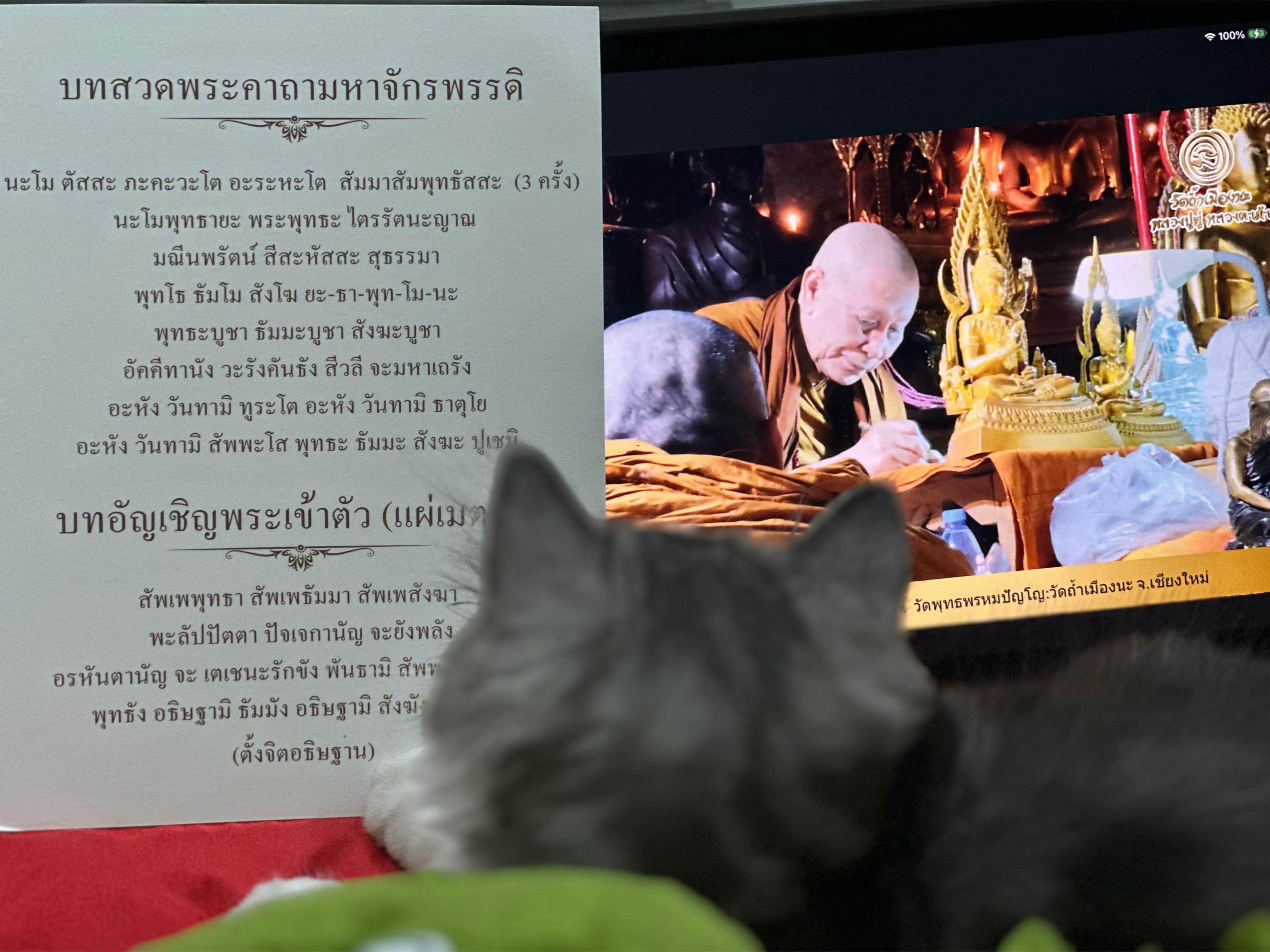 @ทัญญ่า 🌻 เรียกเราชื่อนี้ 🌻
