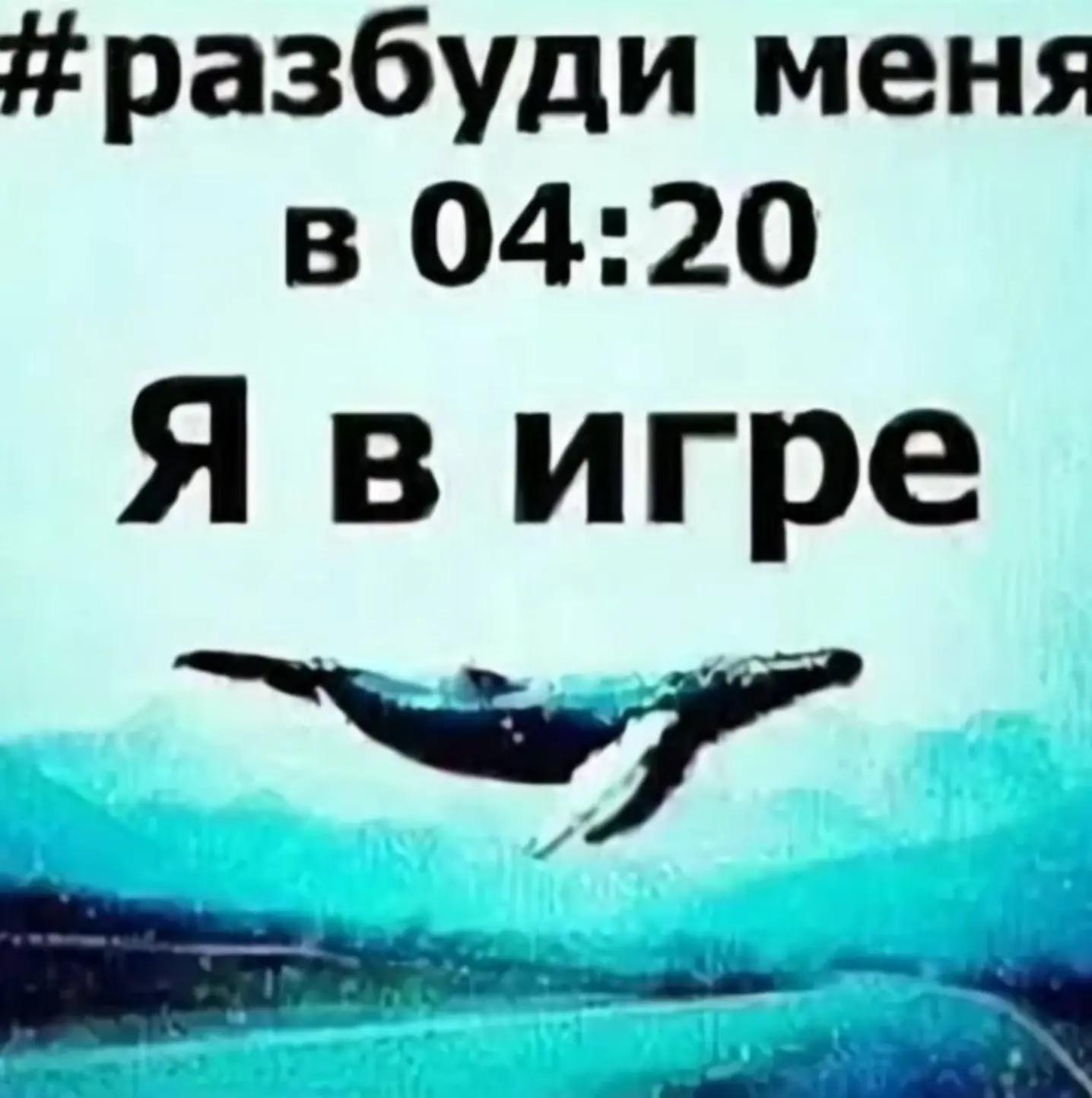 @я тупа свег щя