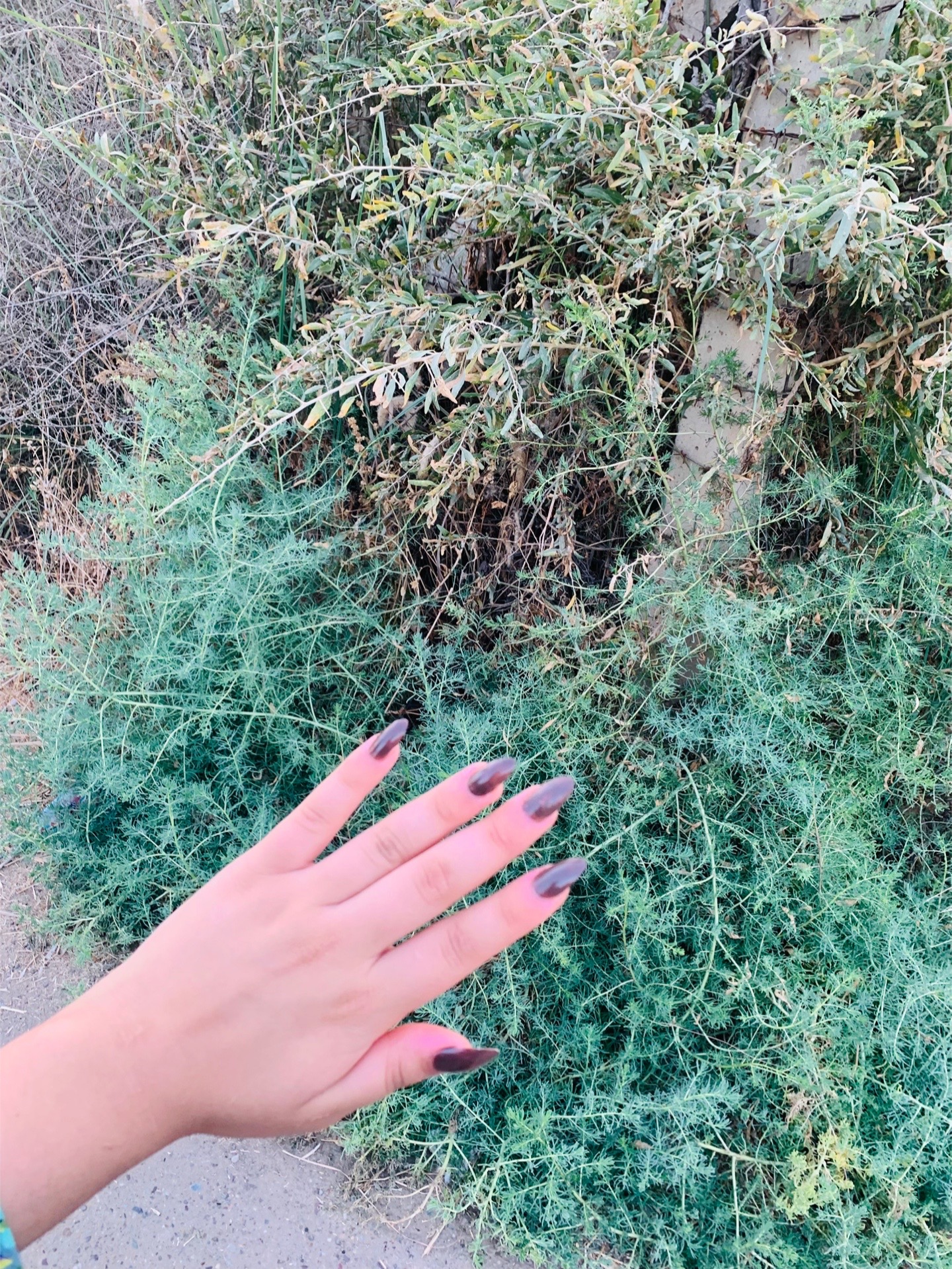 @حَـورٰ🦢