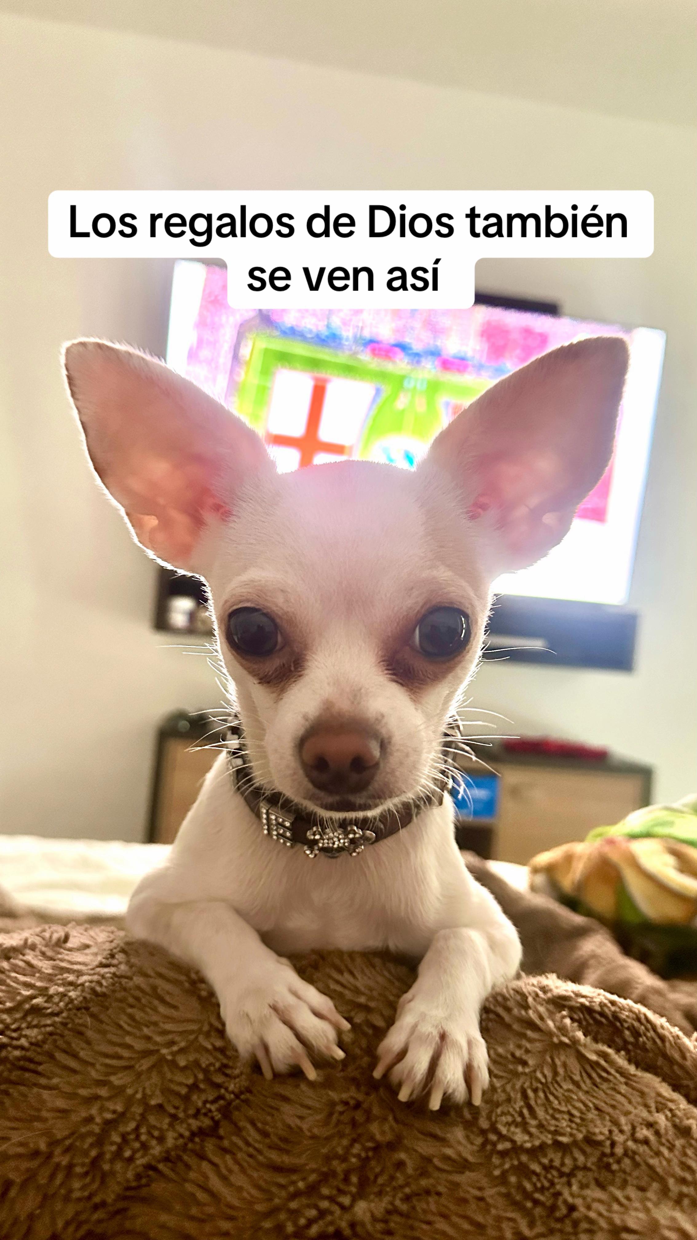 @Maite Andrade
