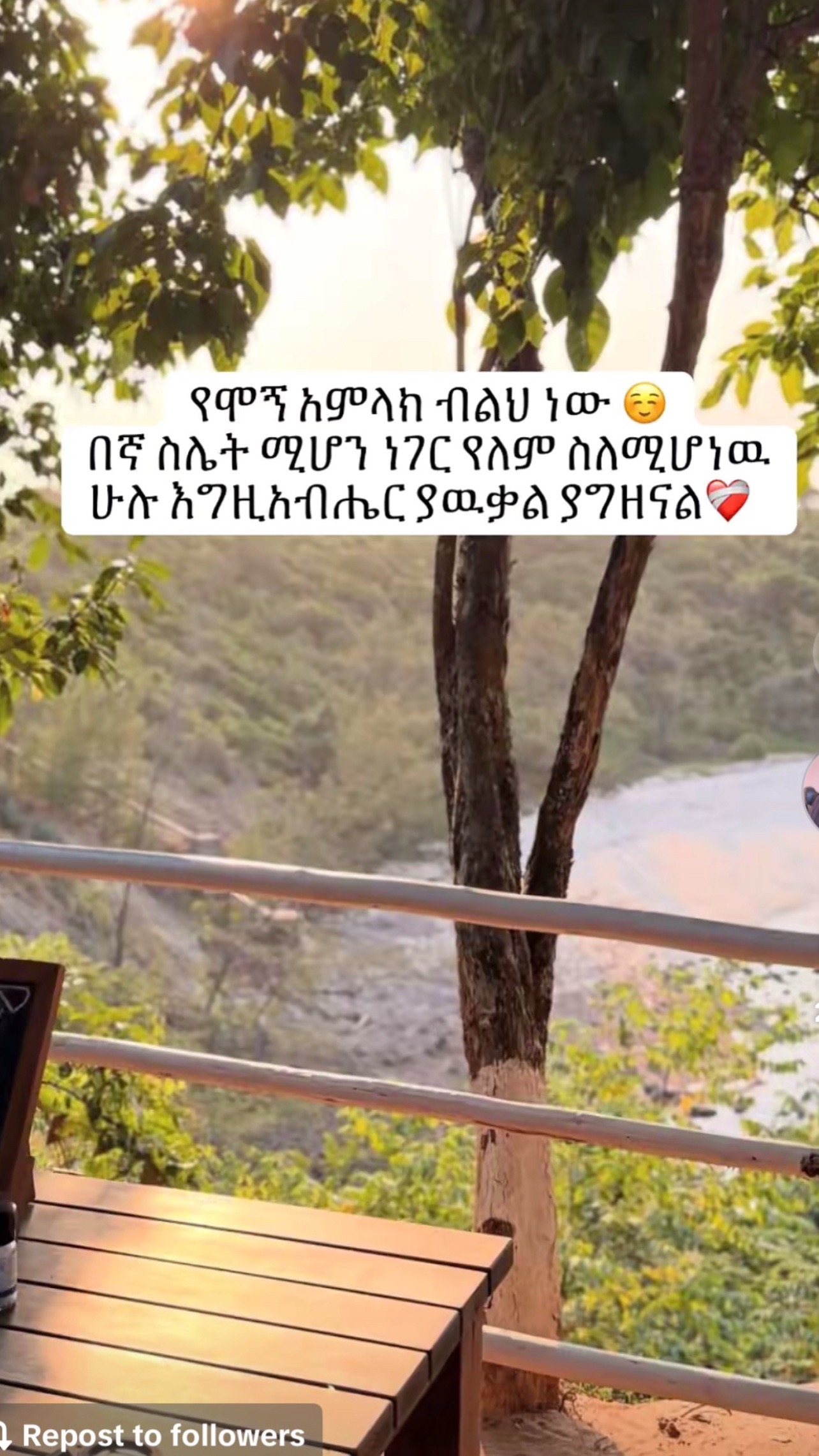 @Milien Hluf /ሚለን/