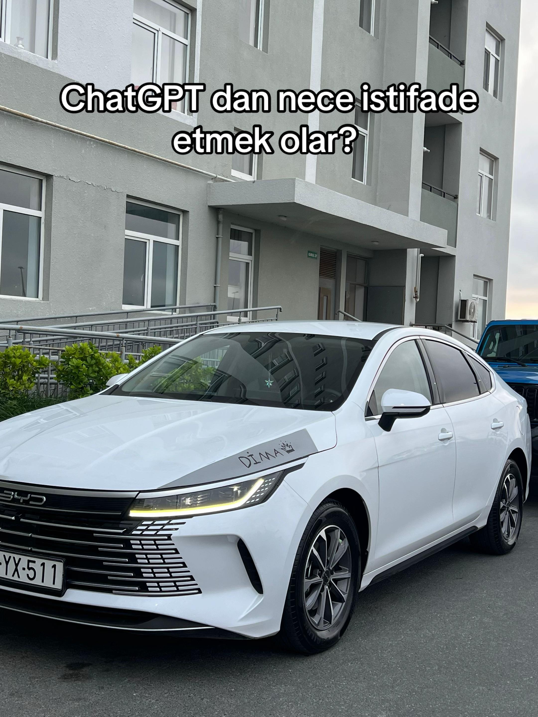 @DİMA ✅️