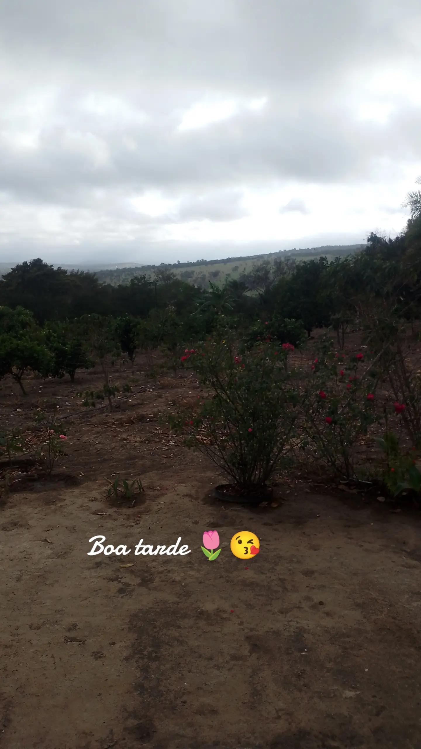 @Poliana Barbosa