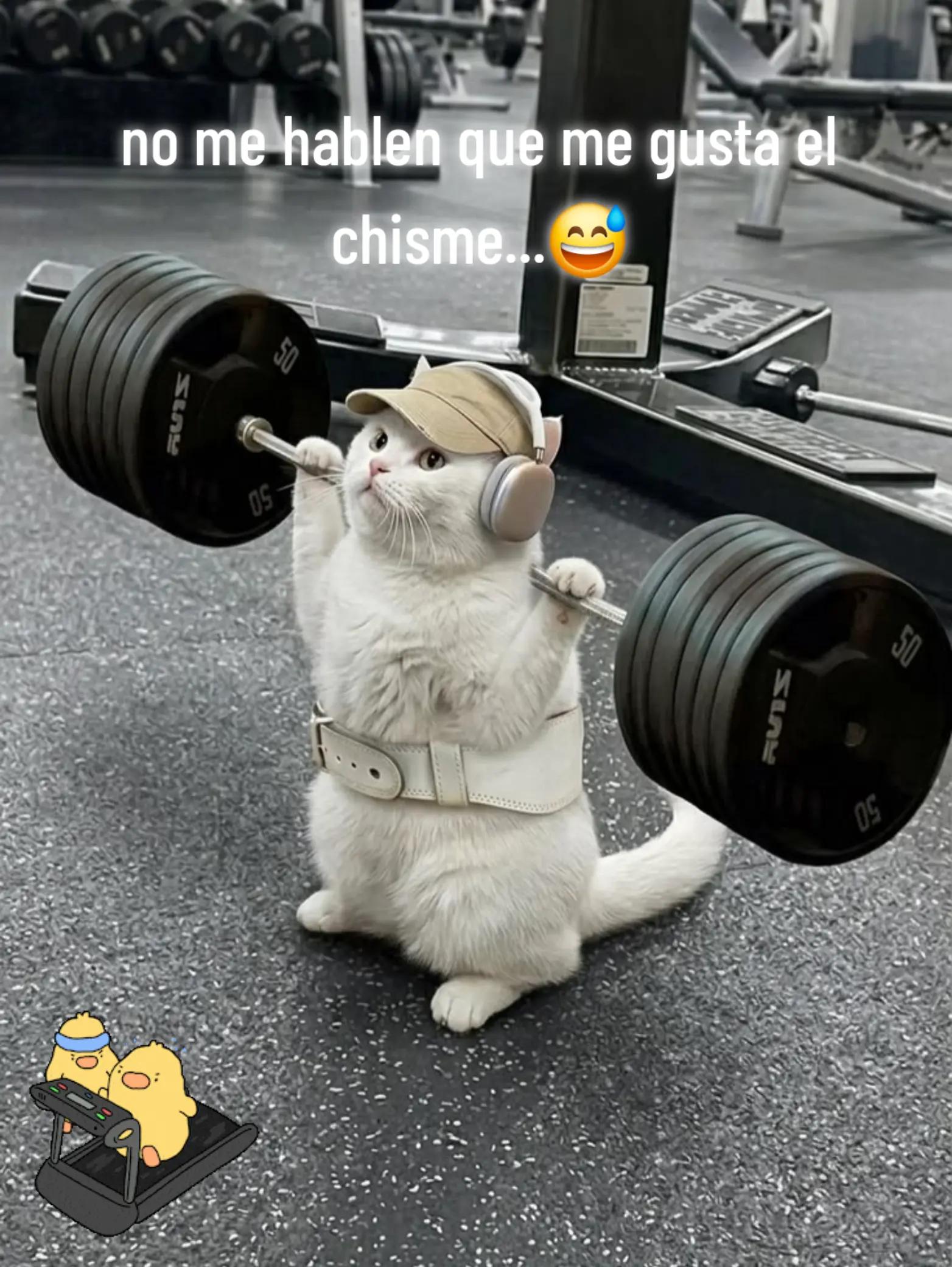 @BatorGym#1