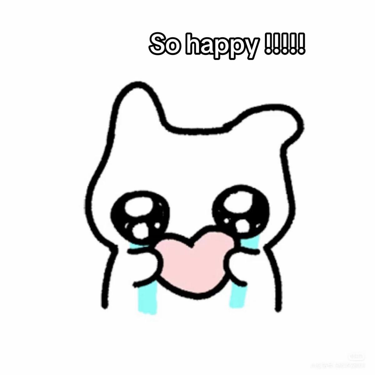 @Kelly Liang