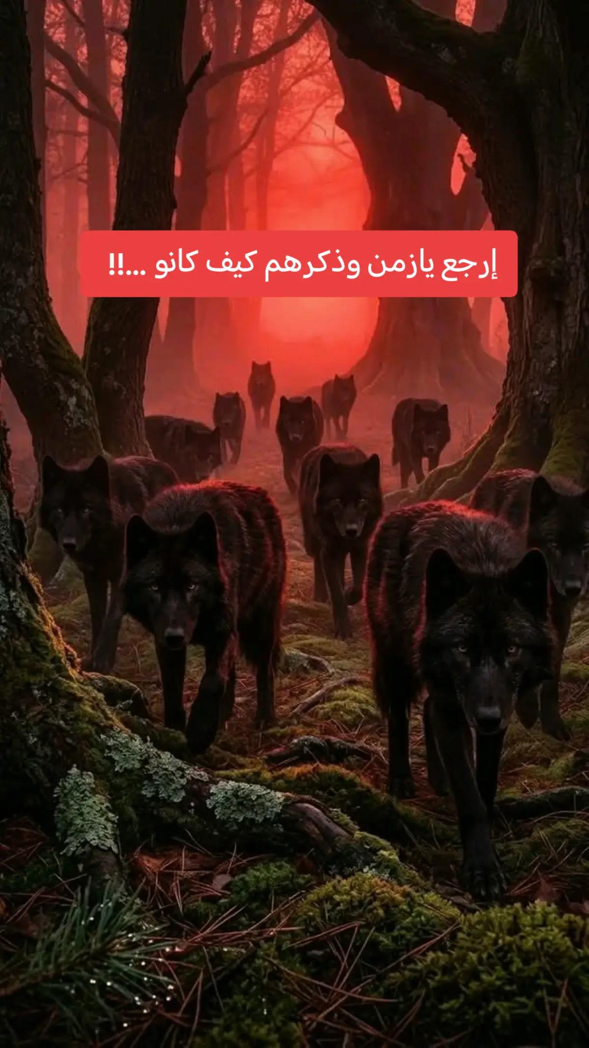 @walid Badi
