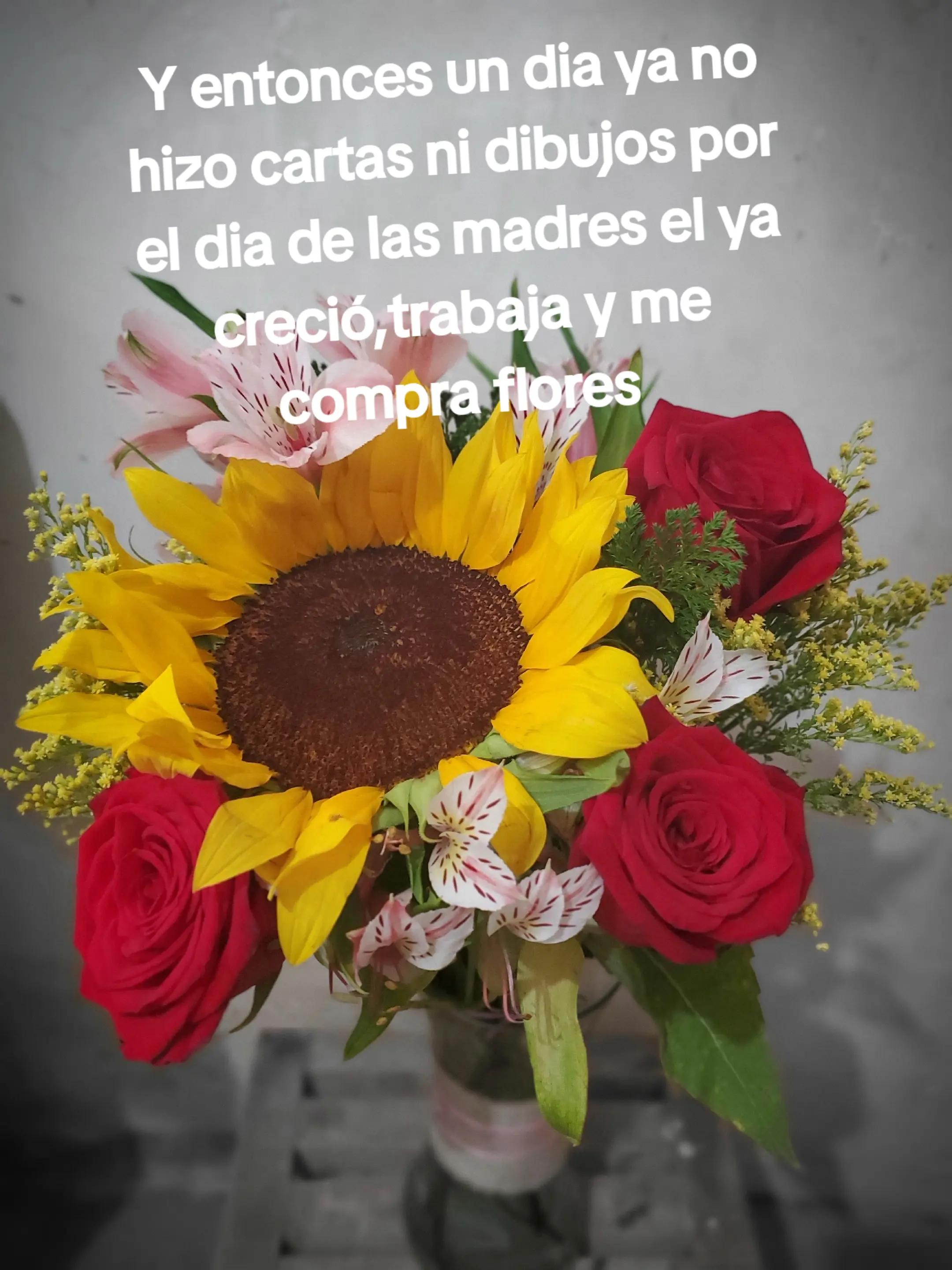 @jeariani_