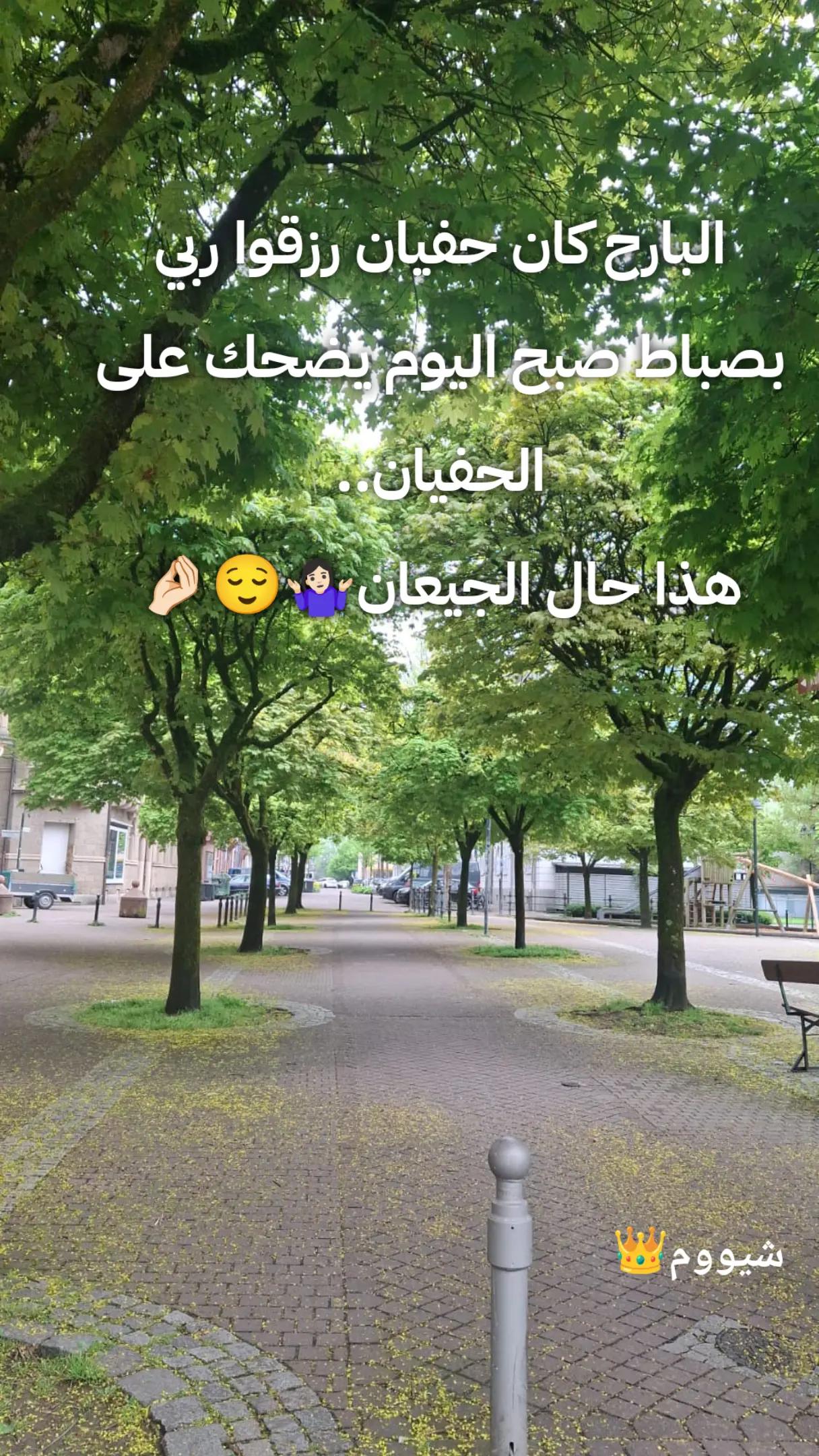 @شيووم👑
