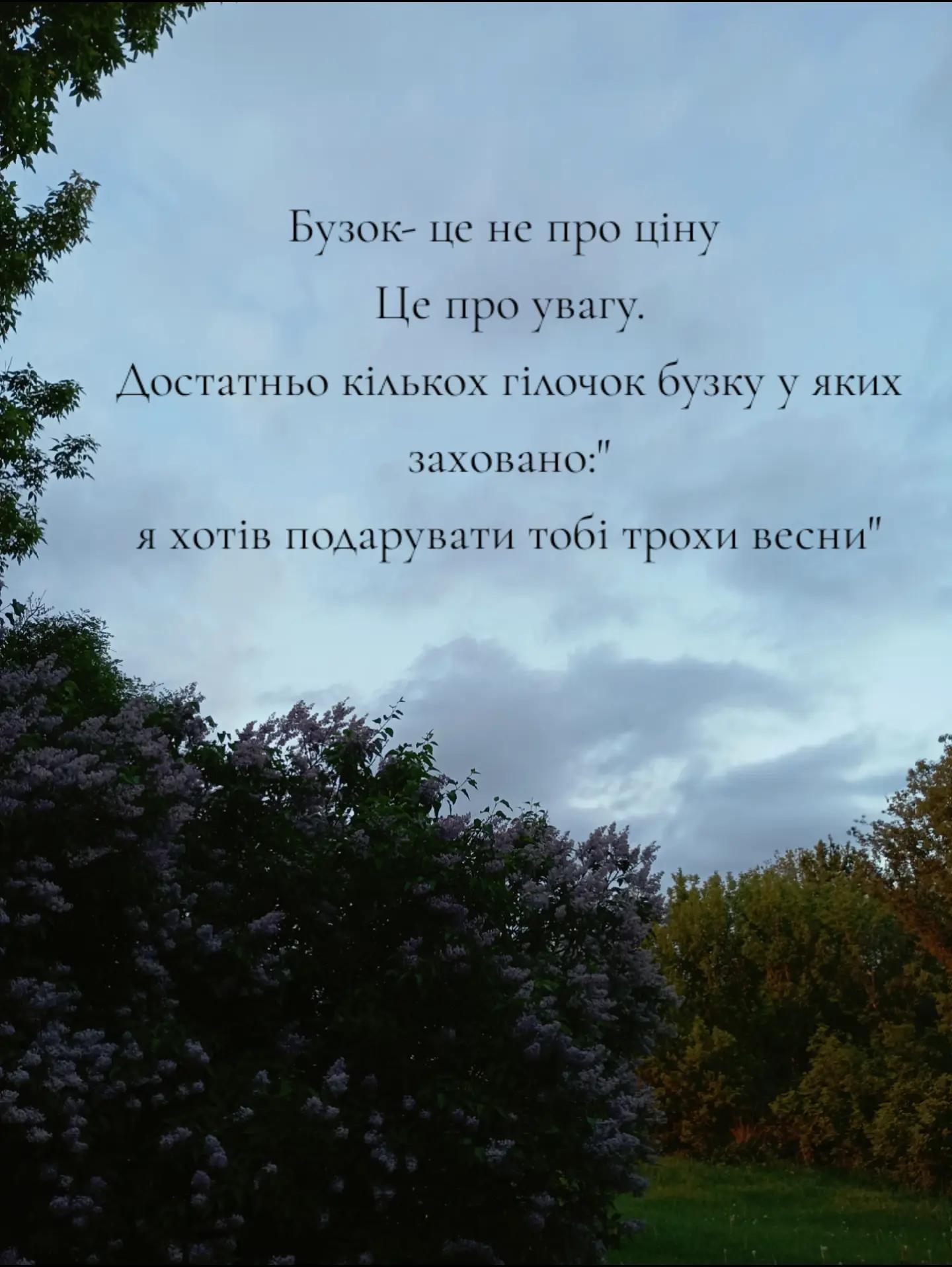 @🖤🕊️