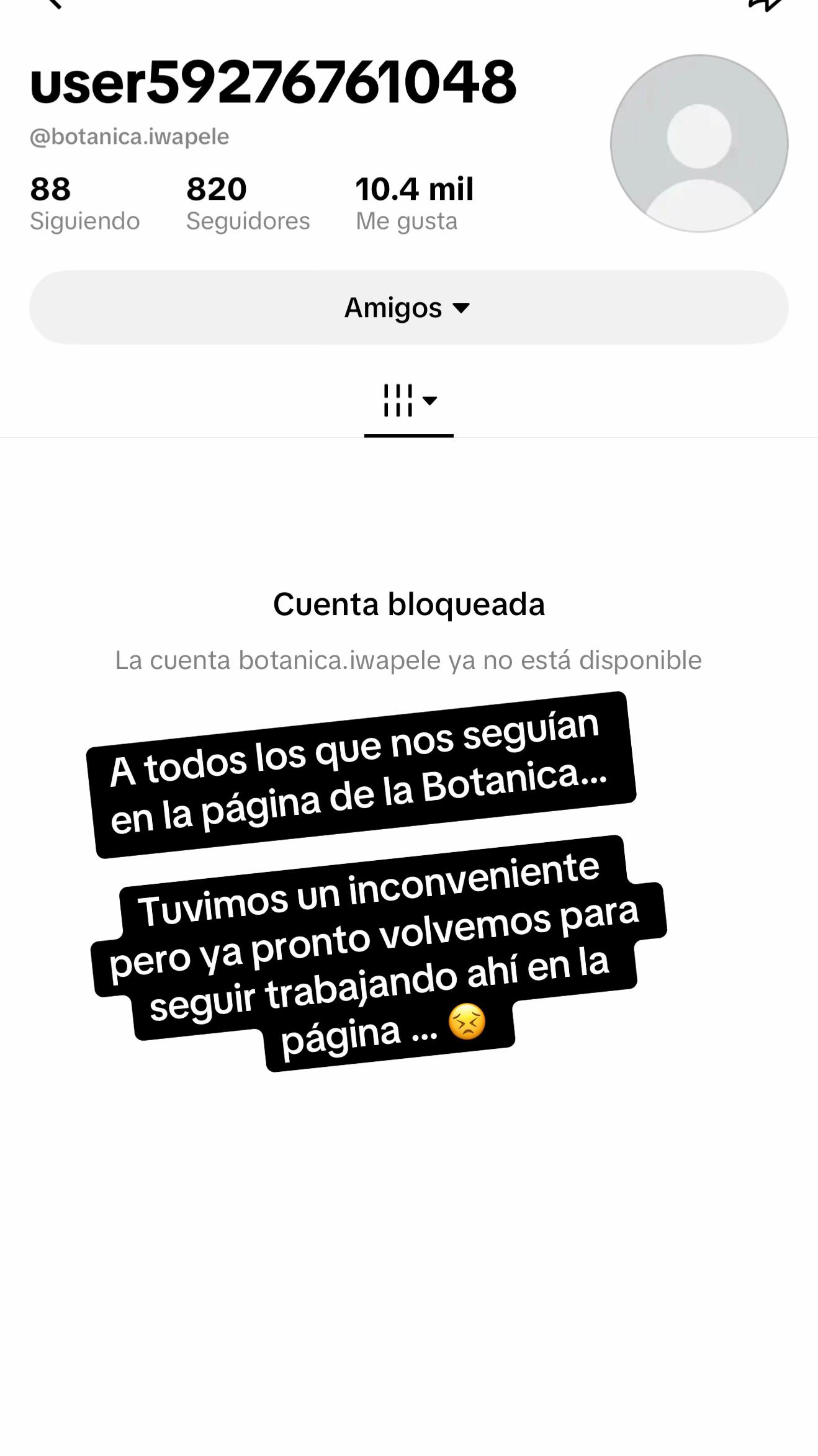 @AlfaNM.