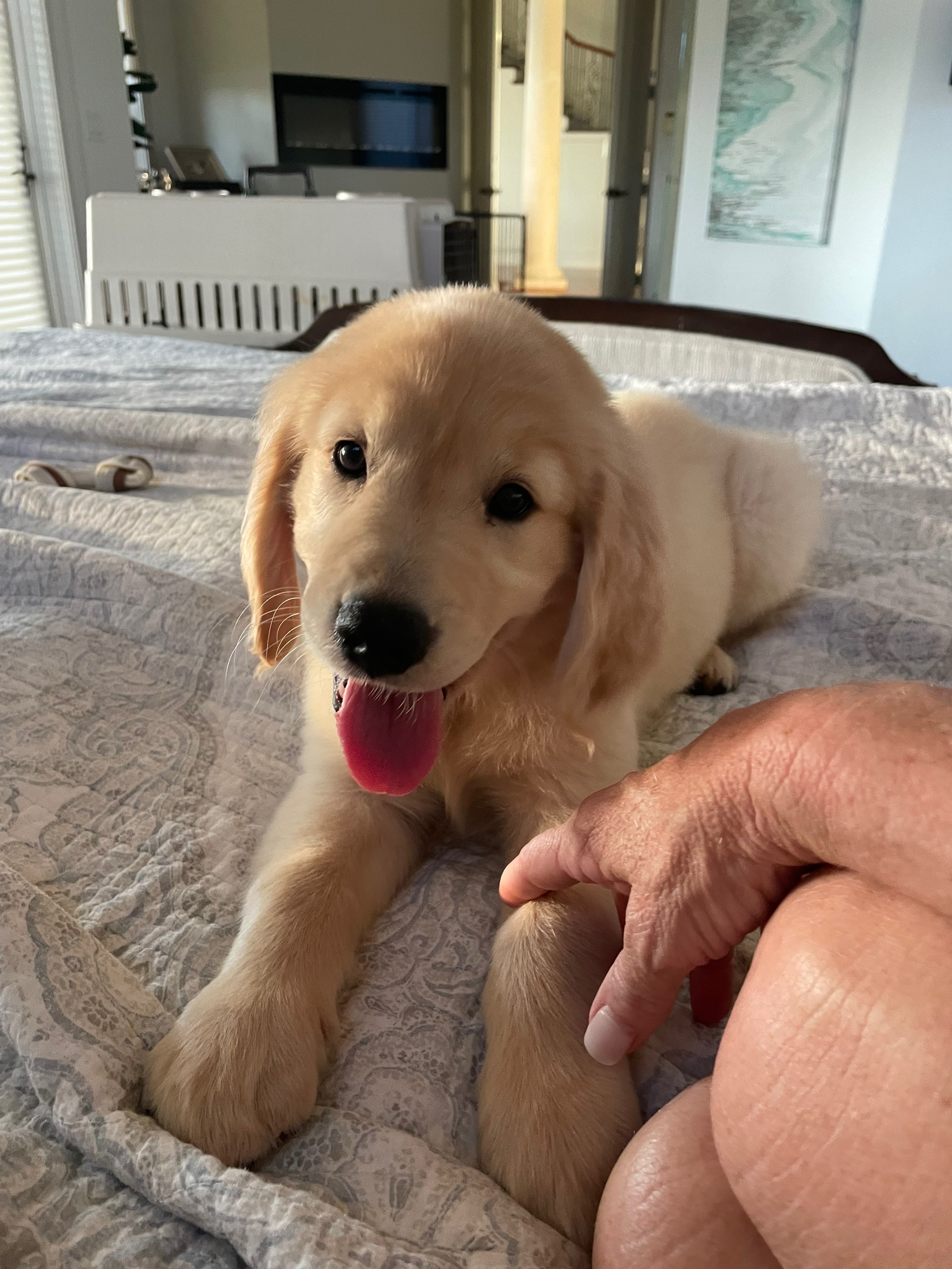 @makosworld