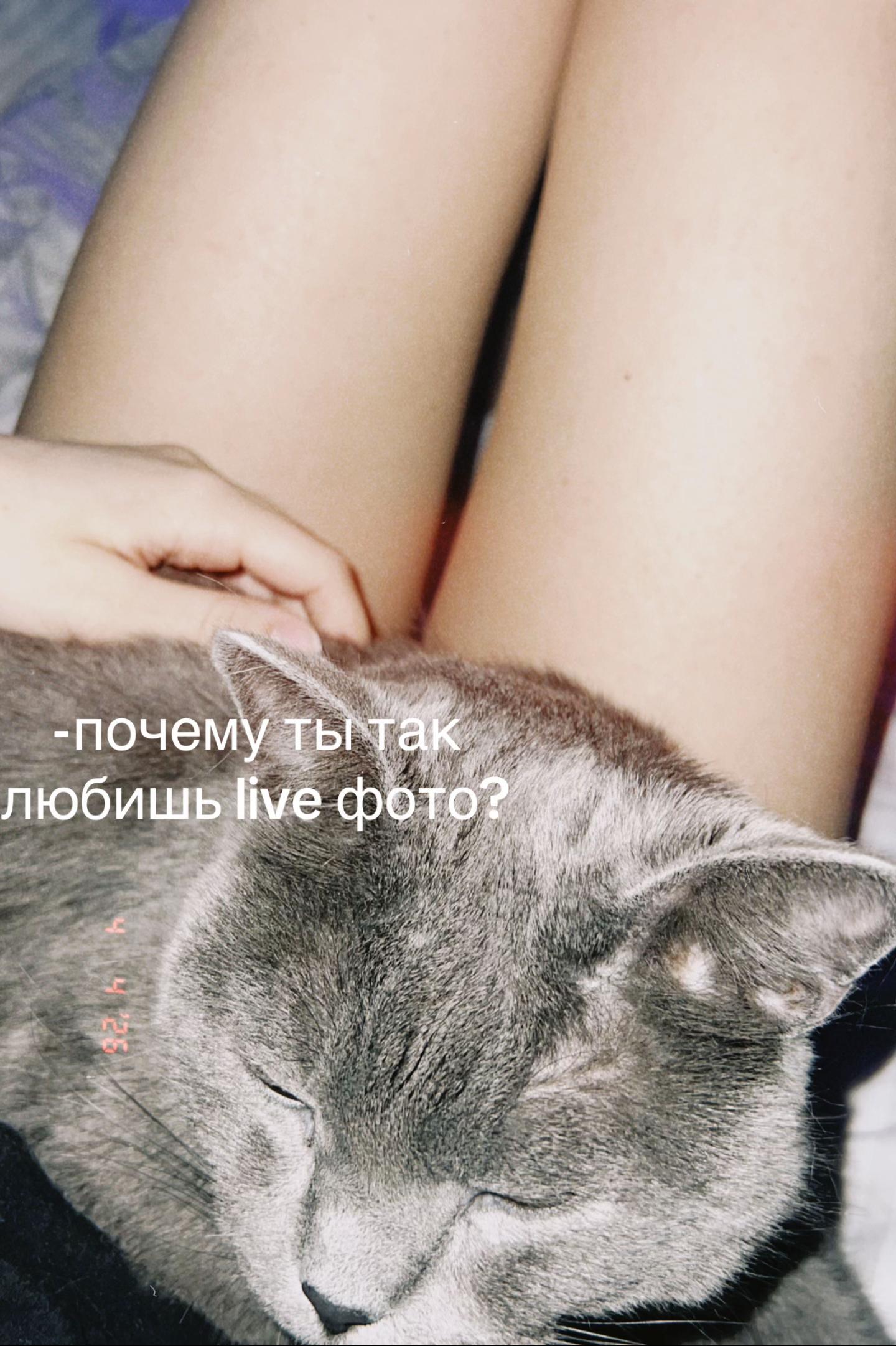 @@alenka