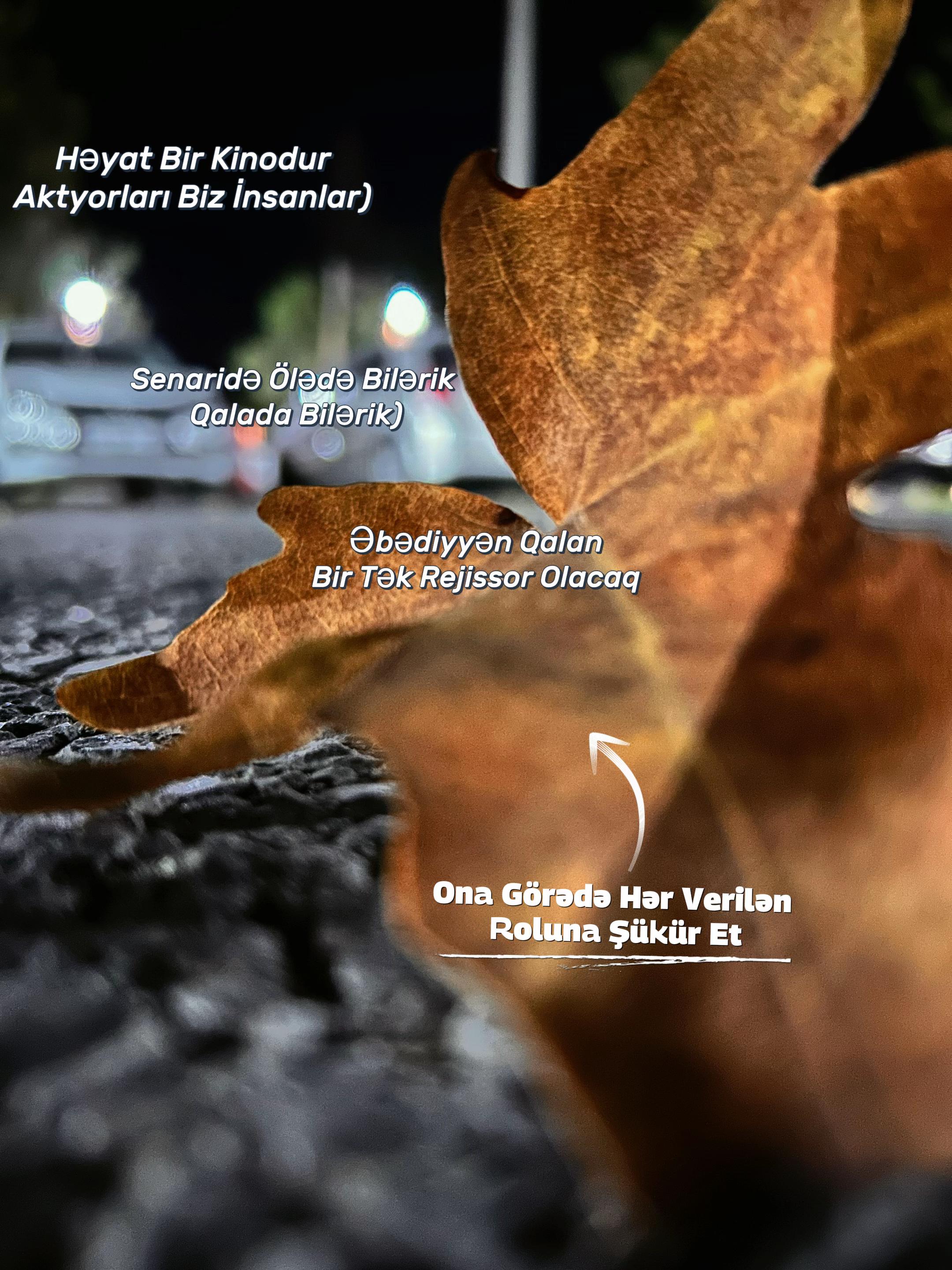 @MuradAsifOğlu