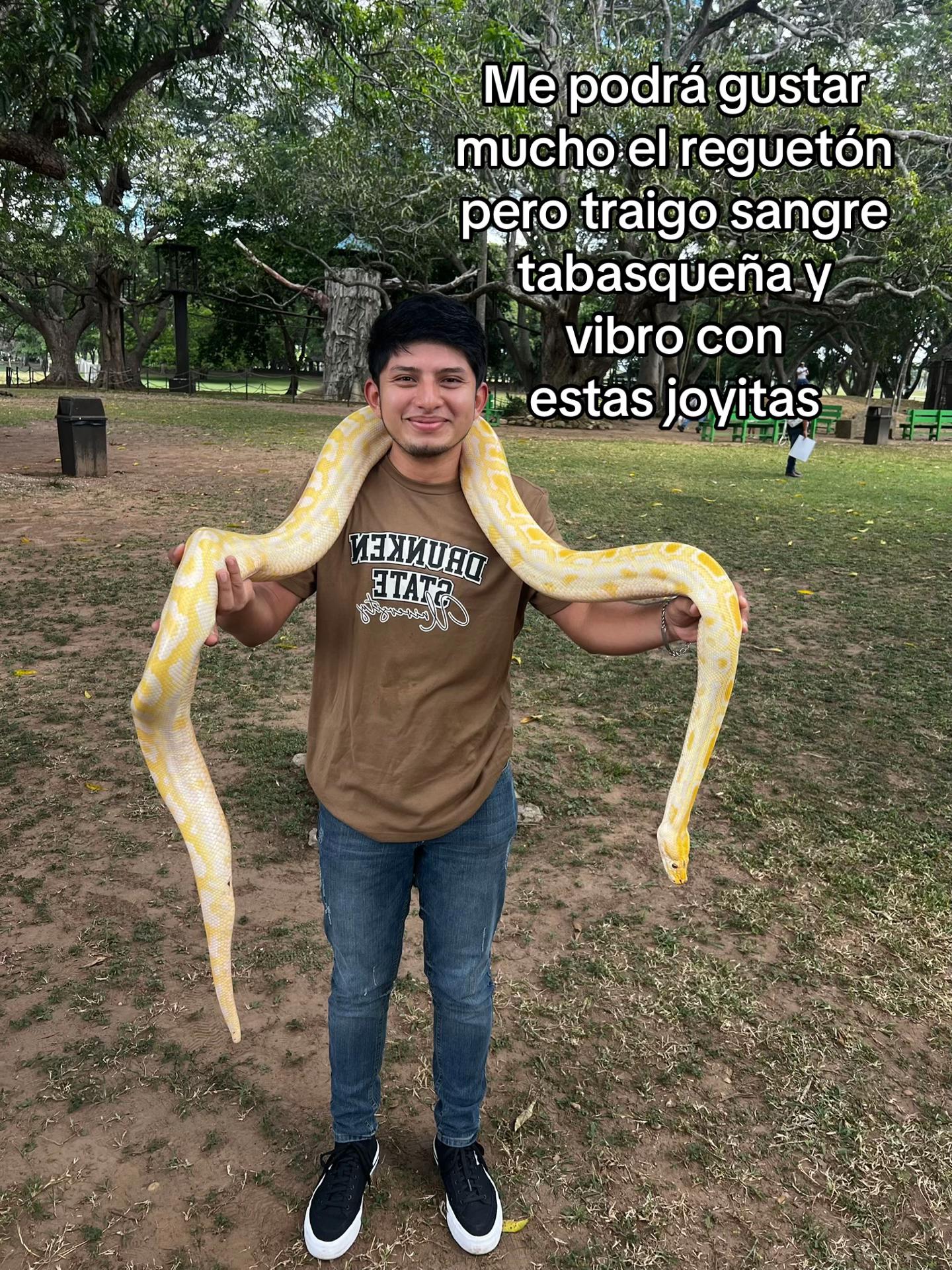 @Angel🪽
