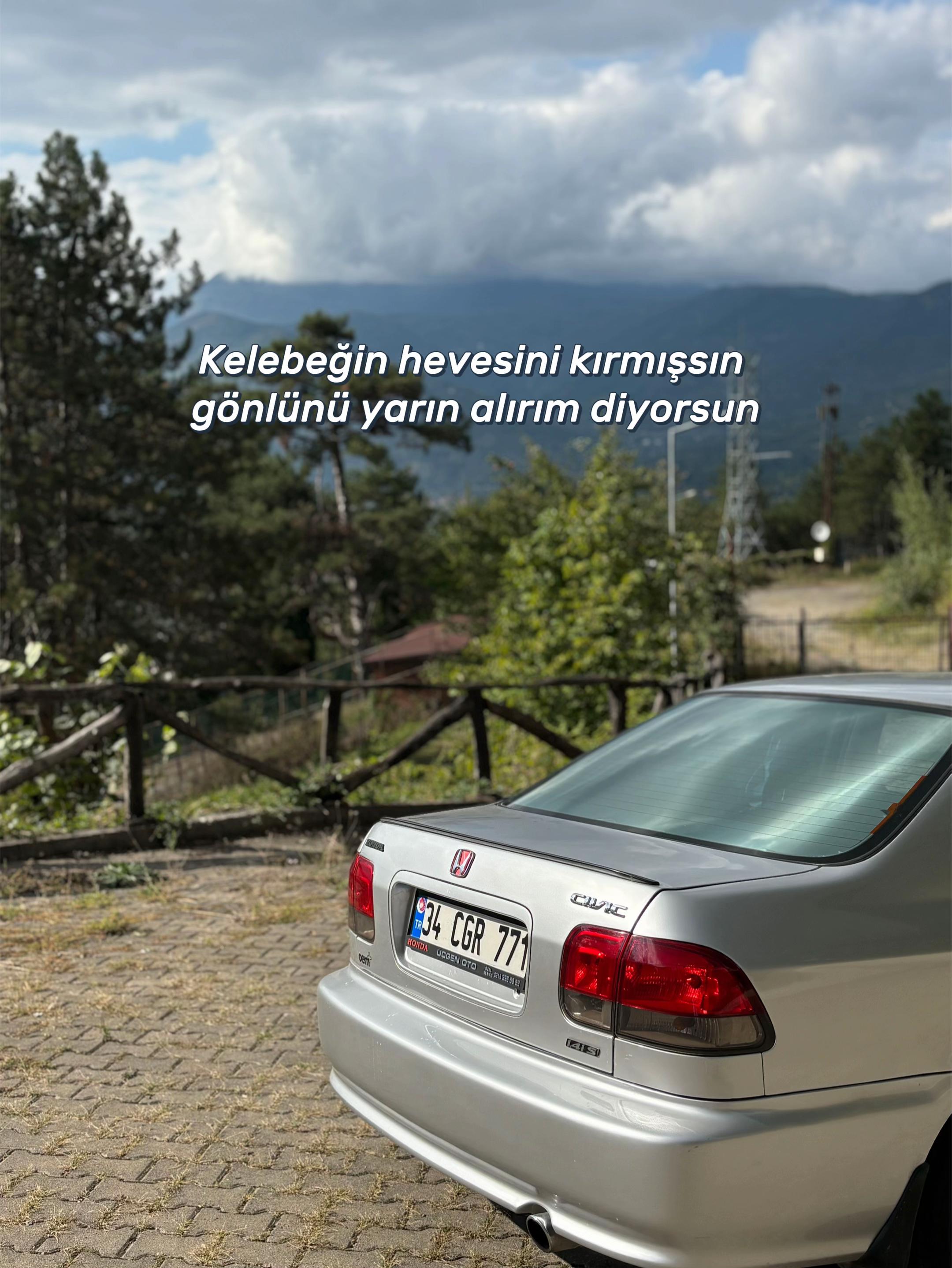 @Doğanay Alagöz